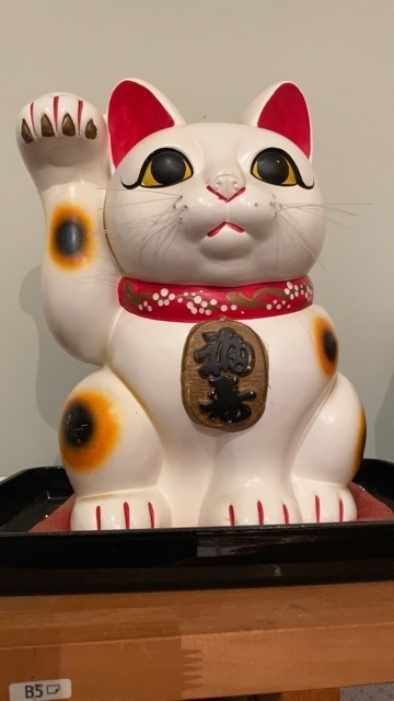 うちの猫。