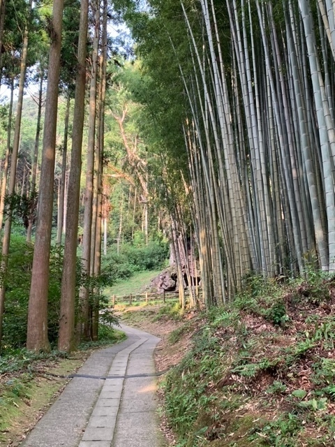 武雄神社