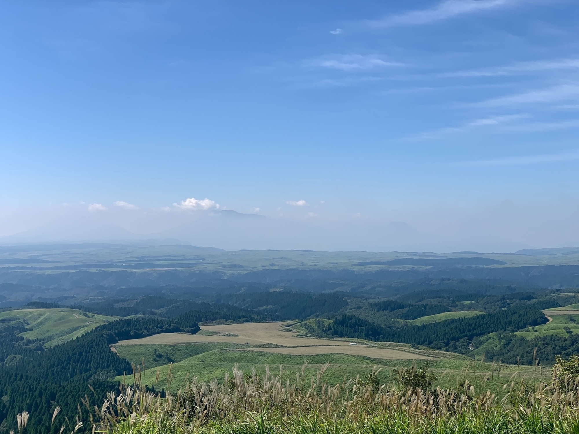 帰ってきました！