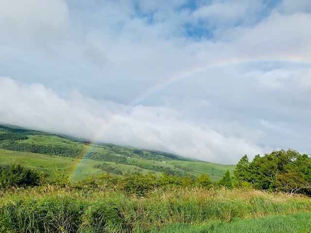 🌈