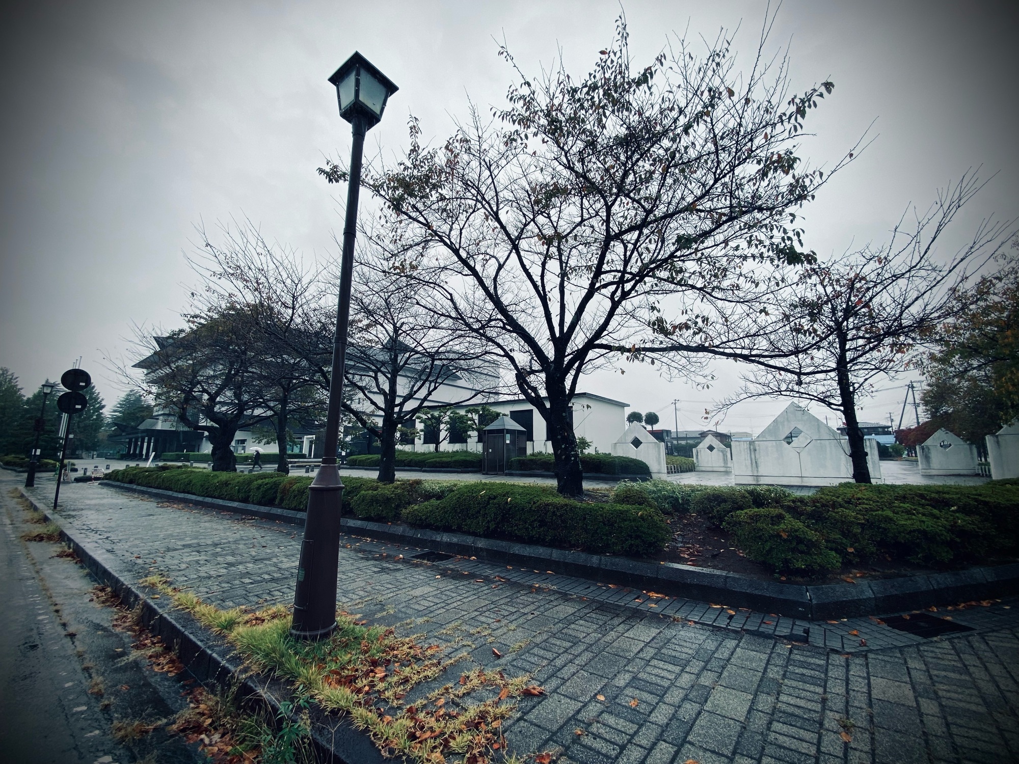 RAIN