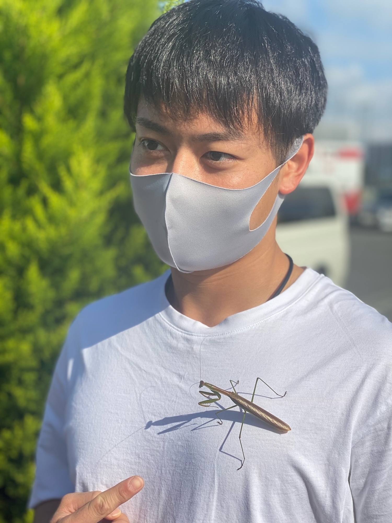 ブローチ