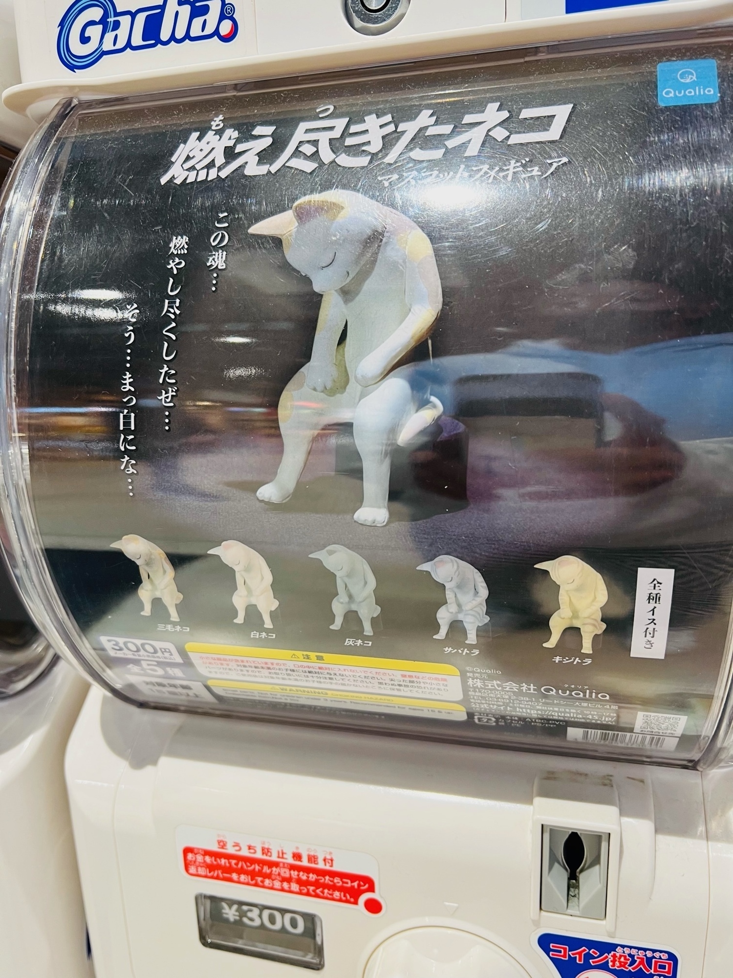 SAも進化し続けてます…