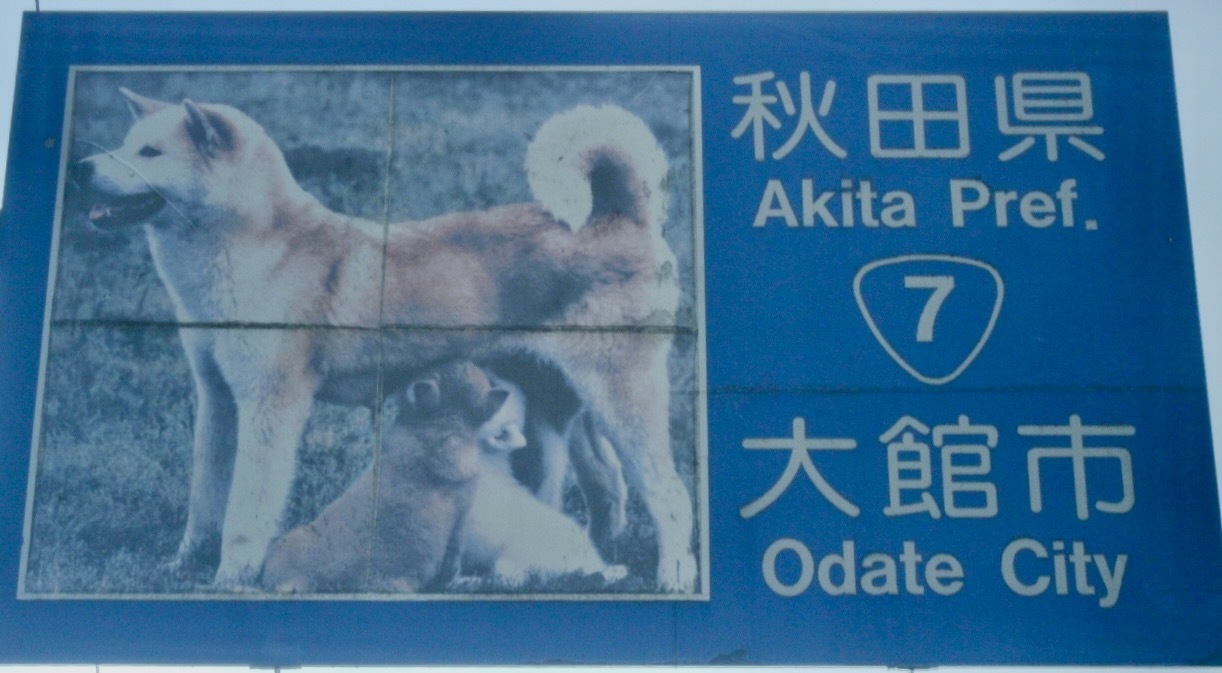 義徳ツボ看板：秋田