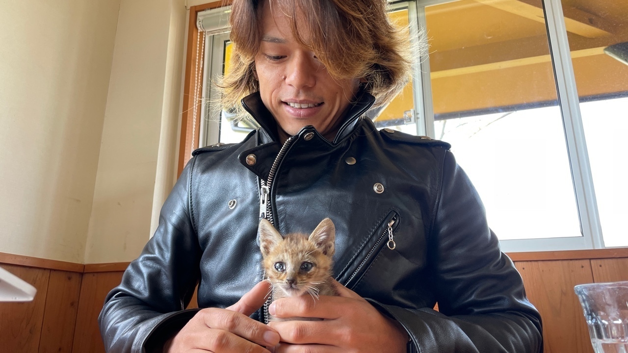 TAOと猫〜KISHINO