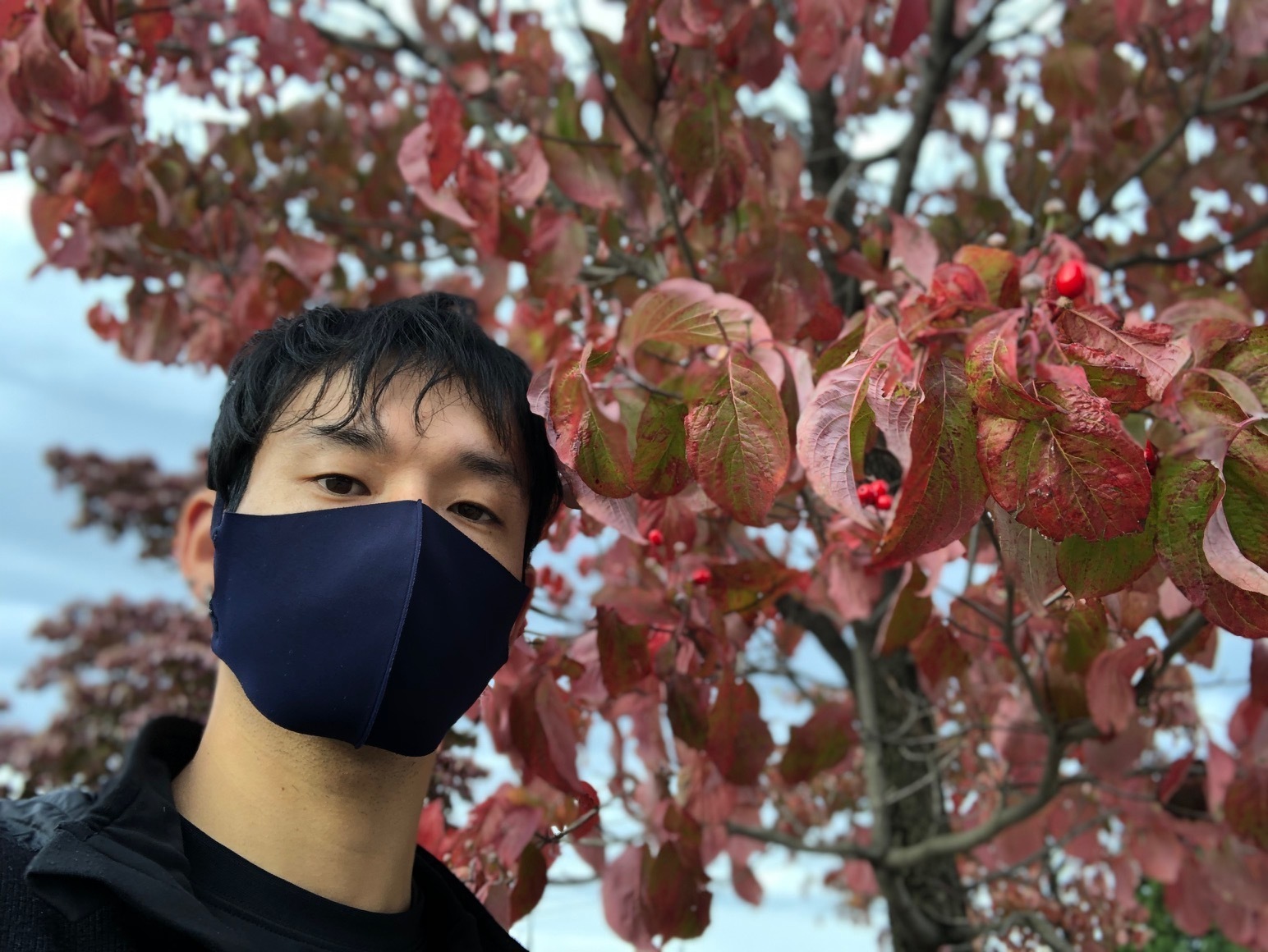 今日は…