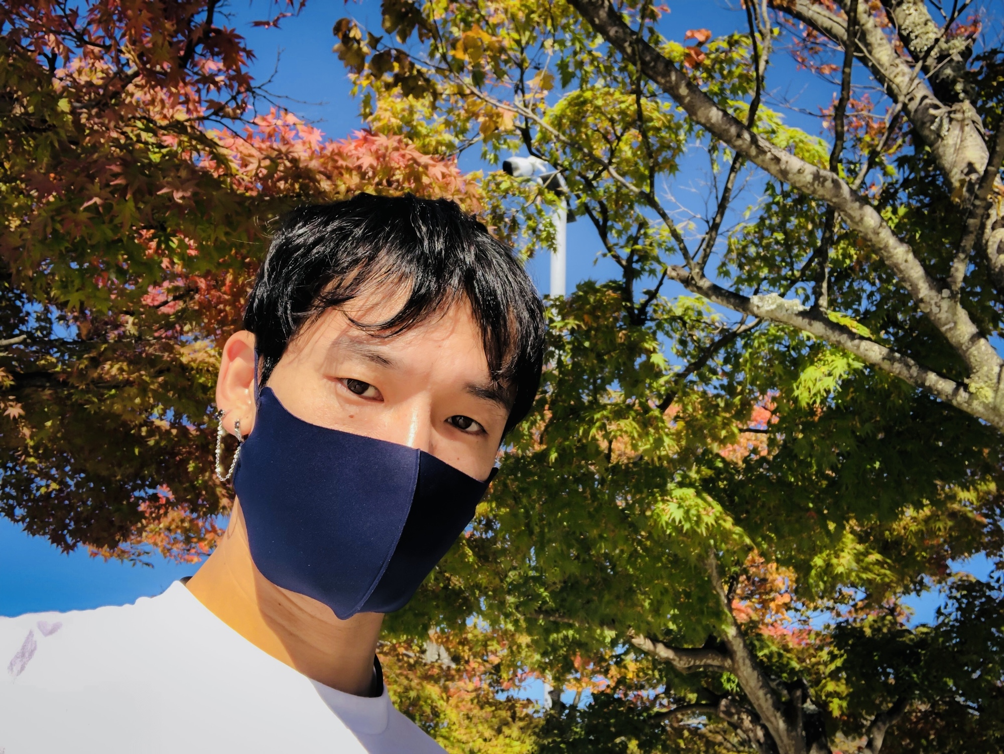 晴れ☀️