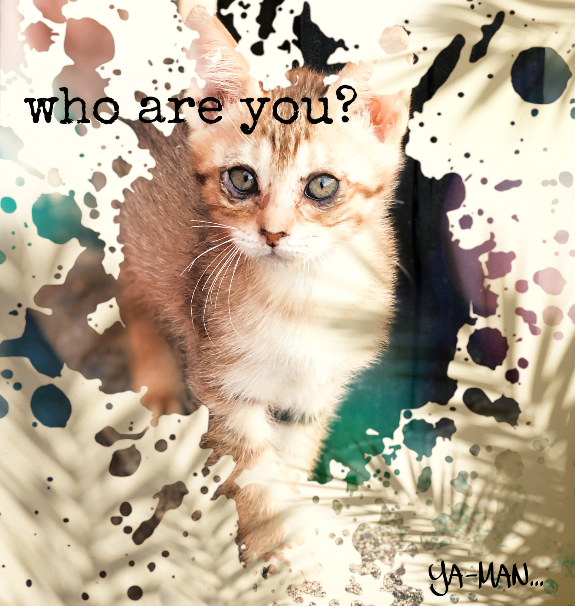 who are you?
