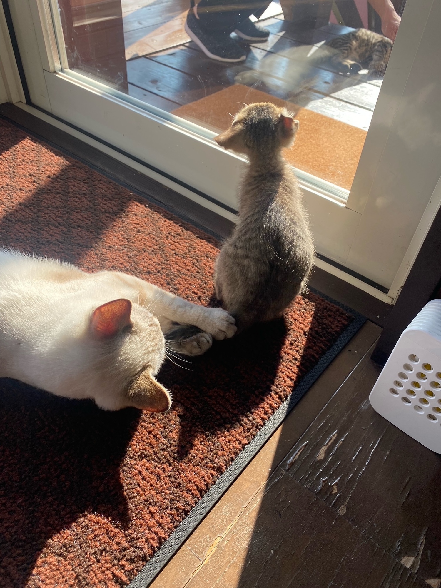 久住といえば