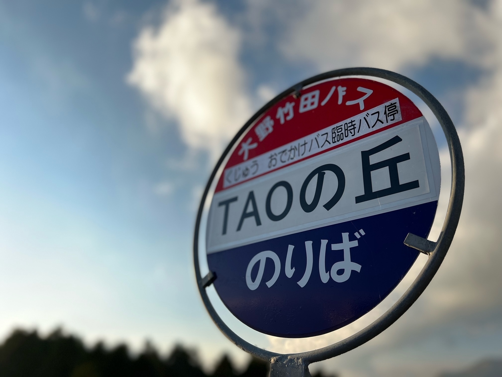 そうだ、TAOの丘にいこう