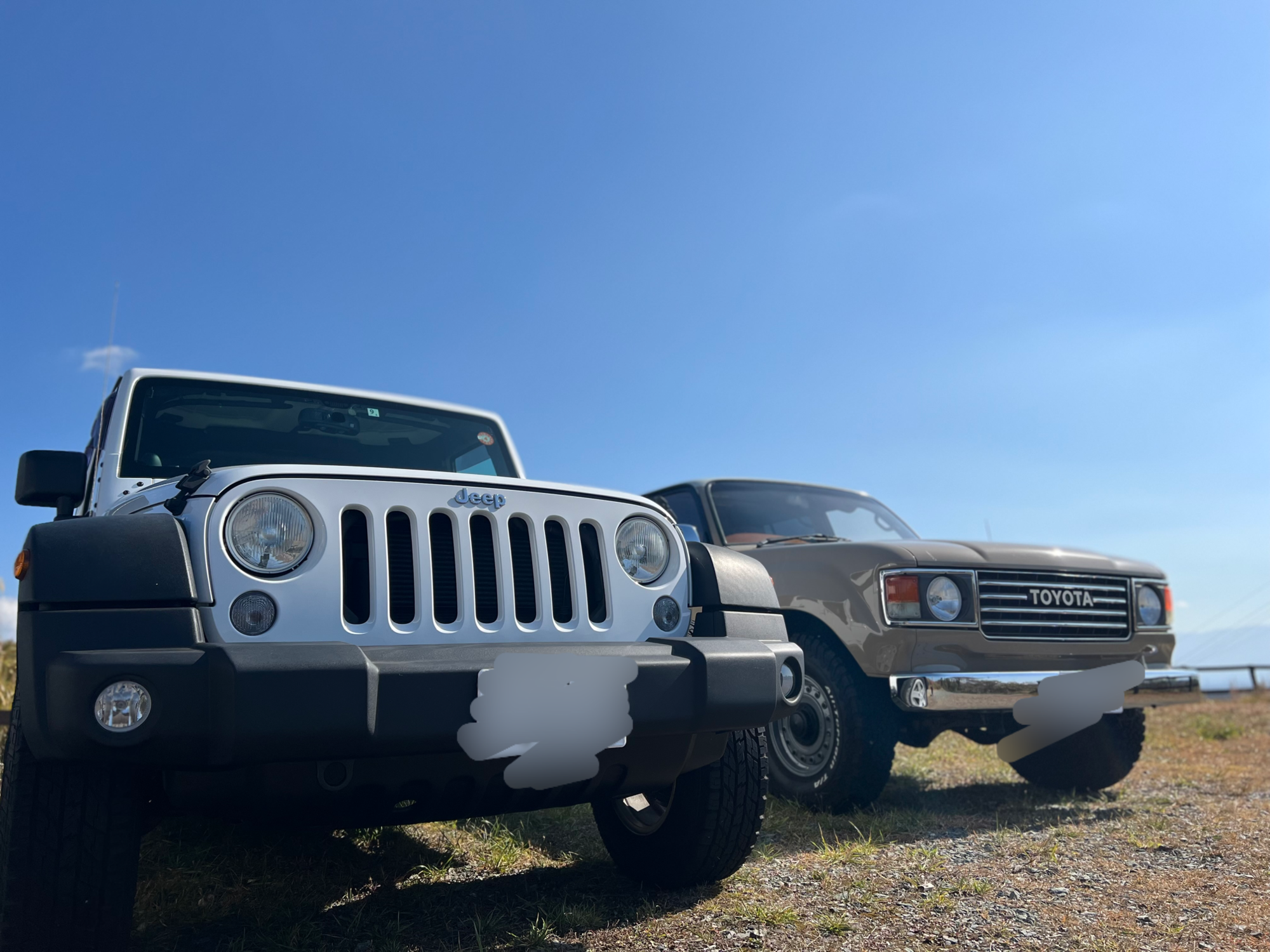 はなればなれ。