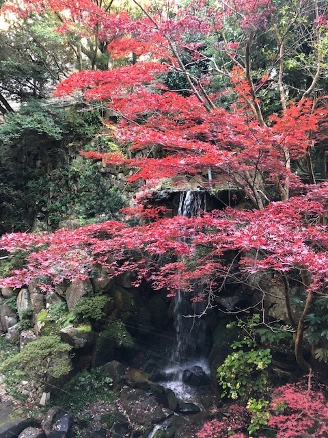 久住へ