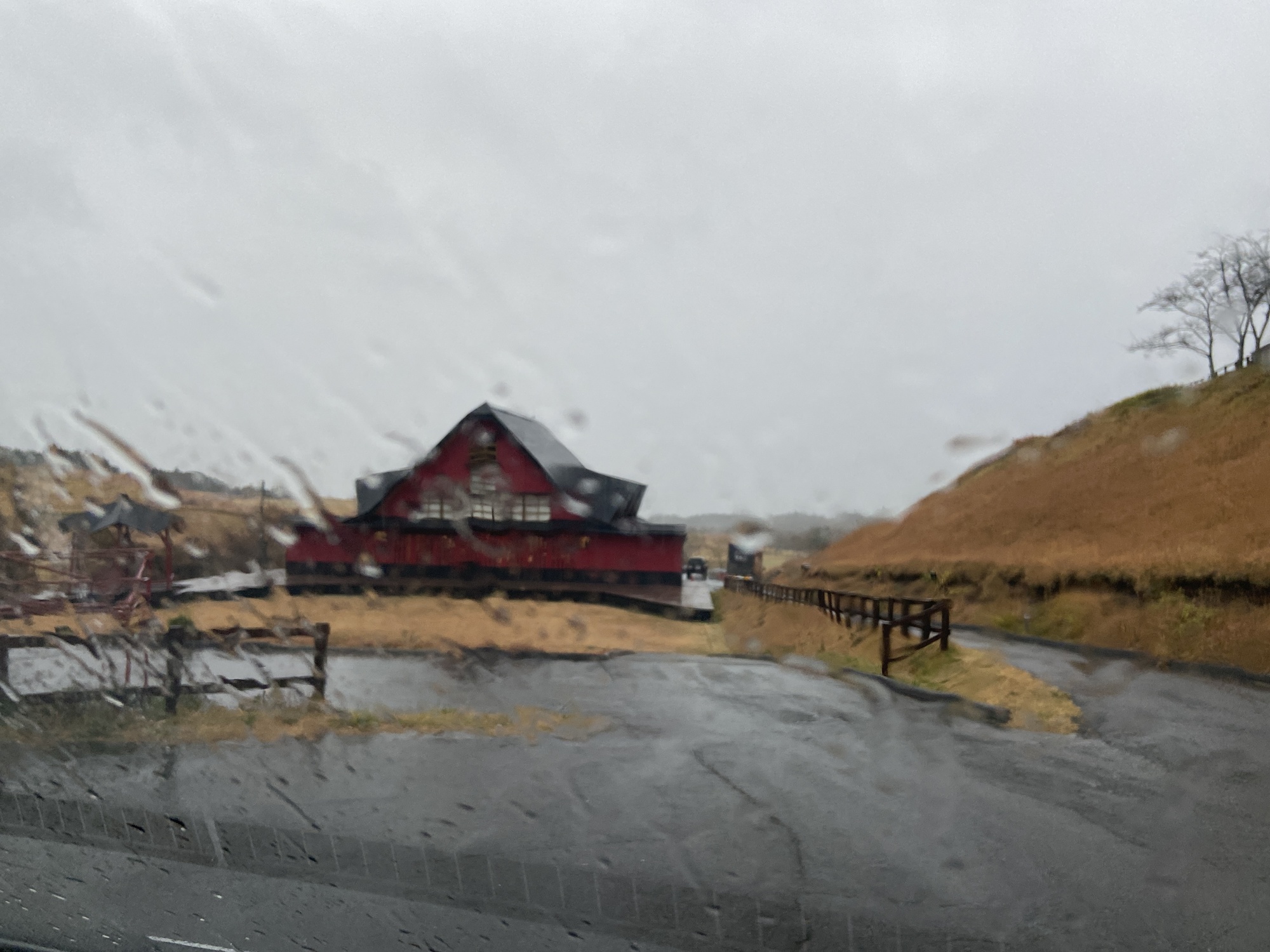 雨