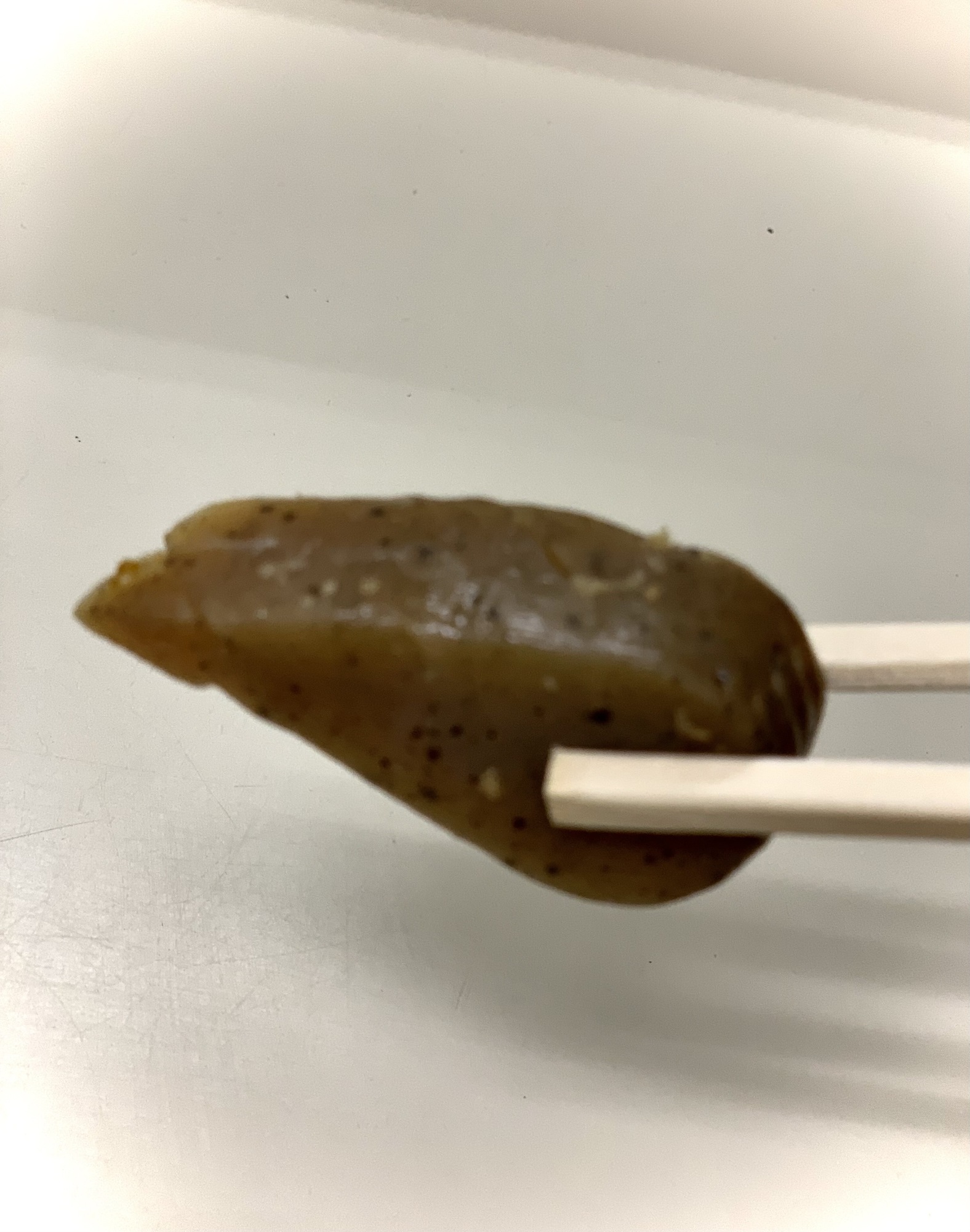 どうでもいいはなし