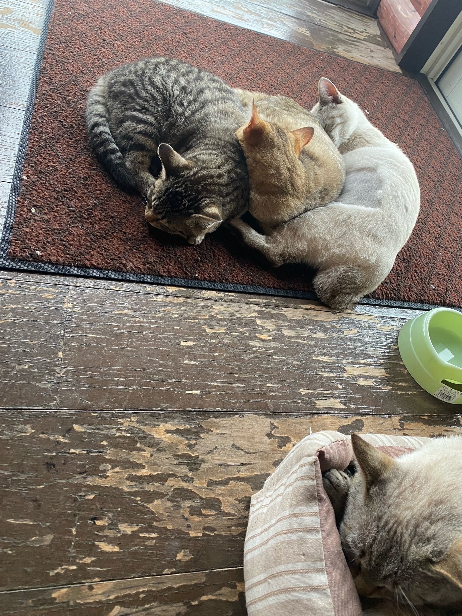 丸くなる