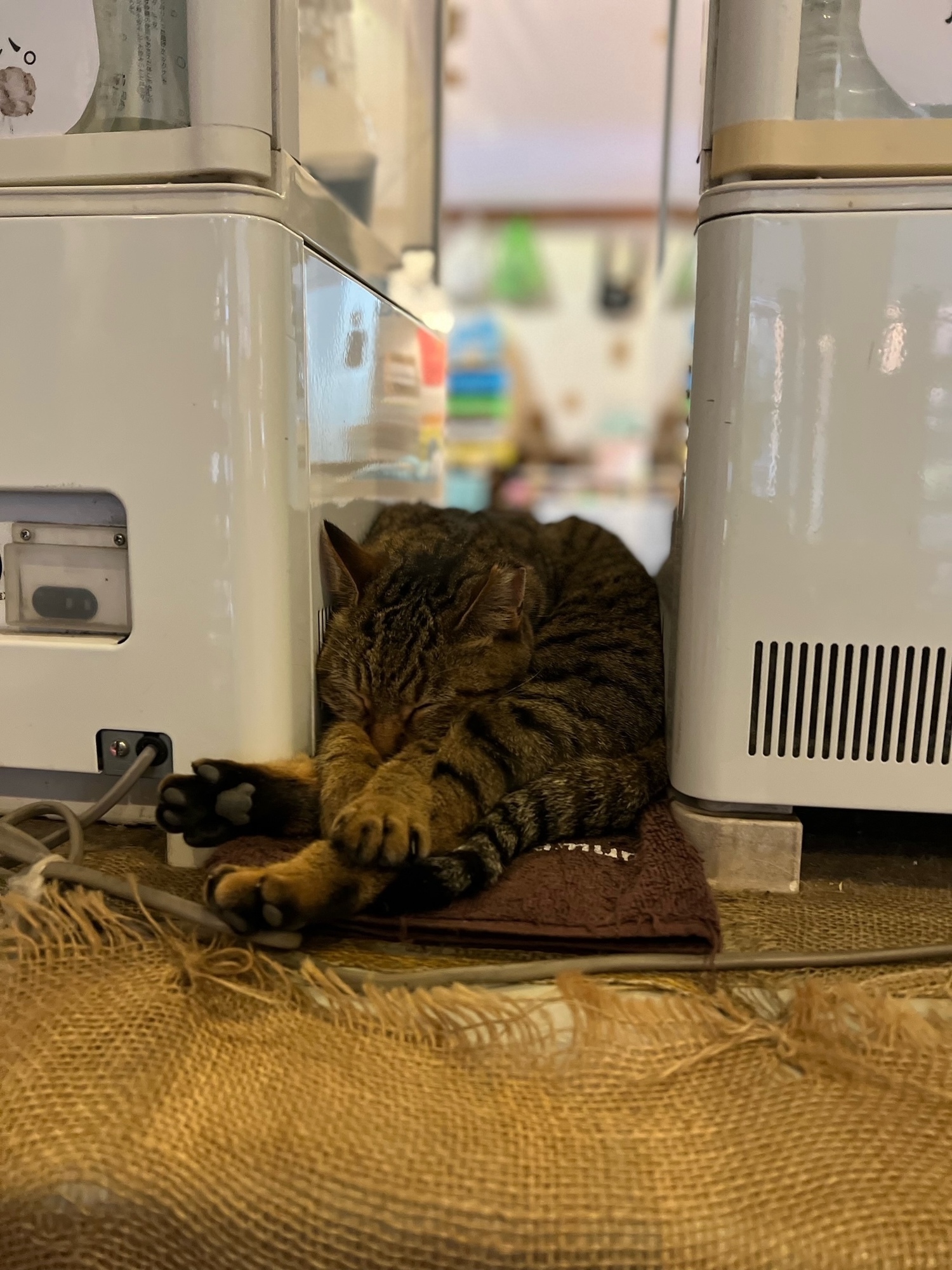 これが僕のスタイル