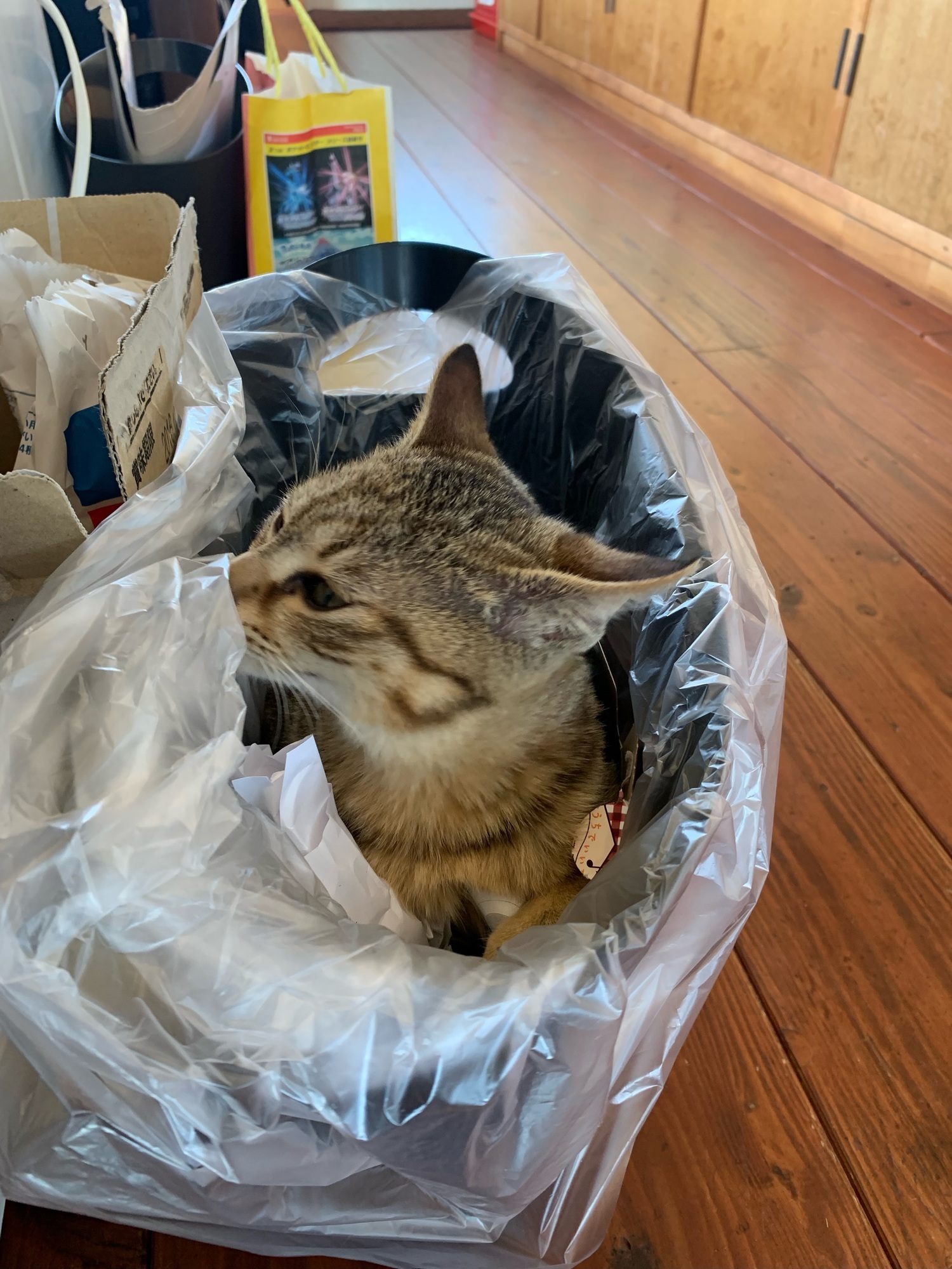 長靴、、、いや、