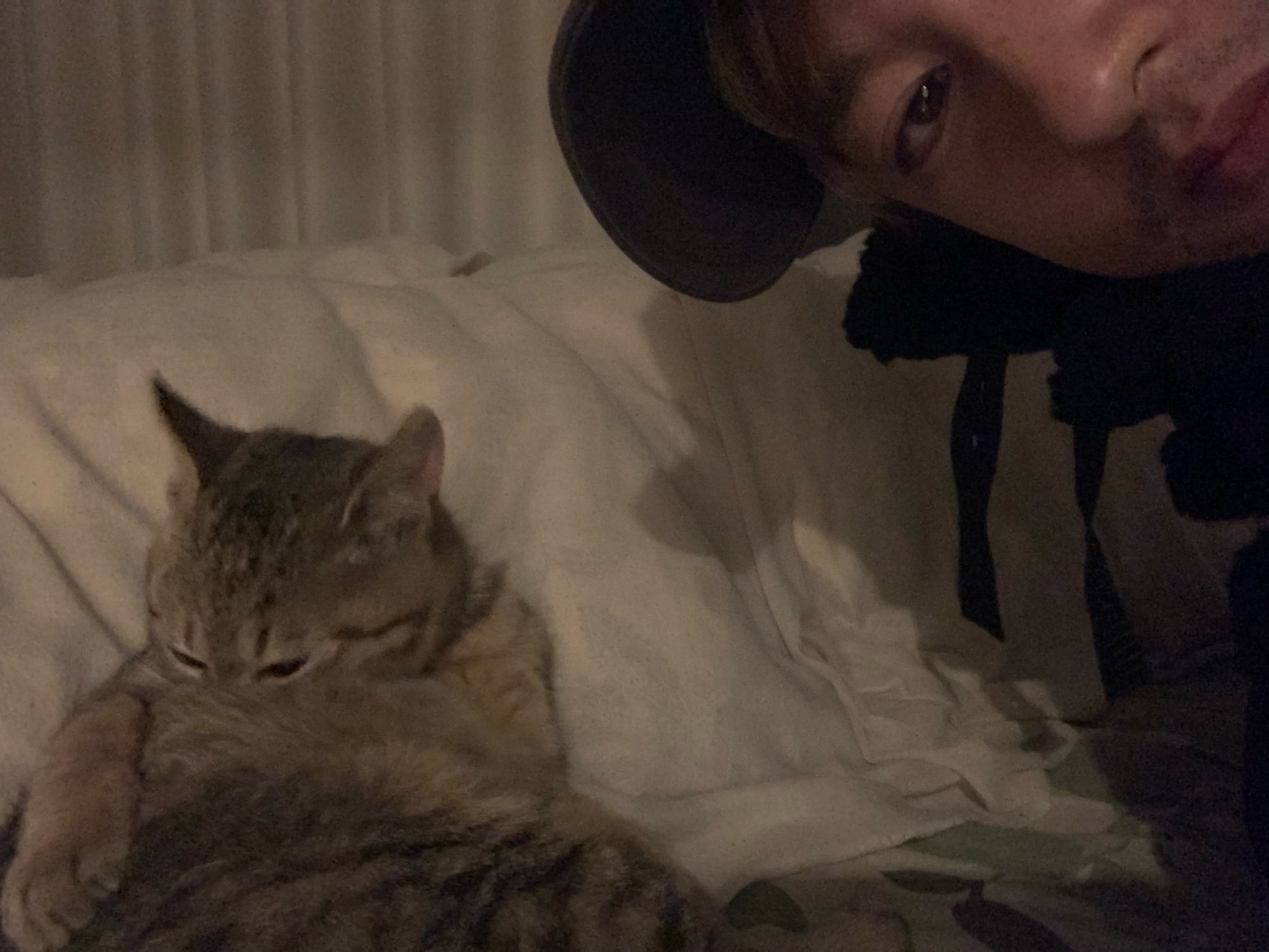 後からテクテクと