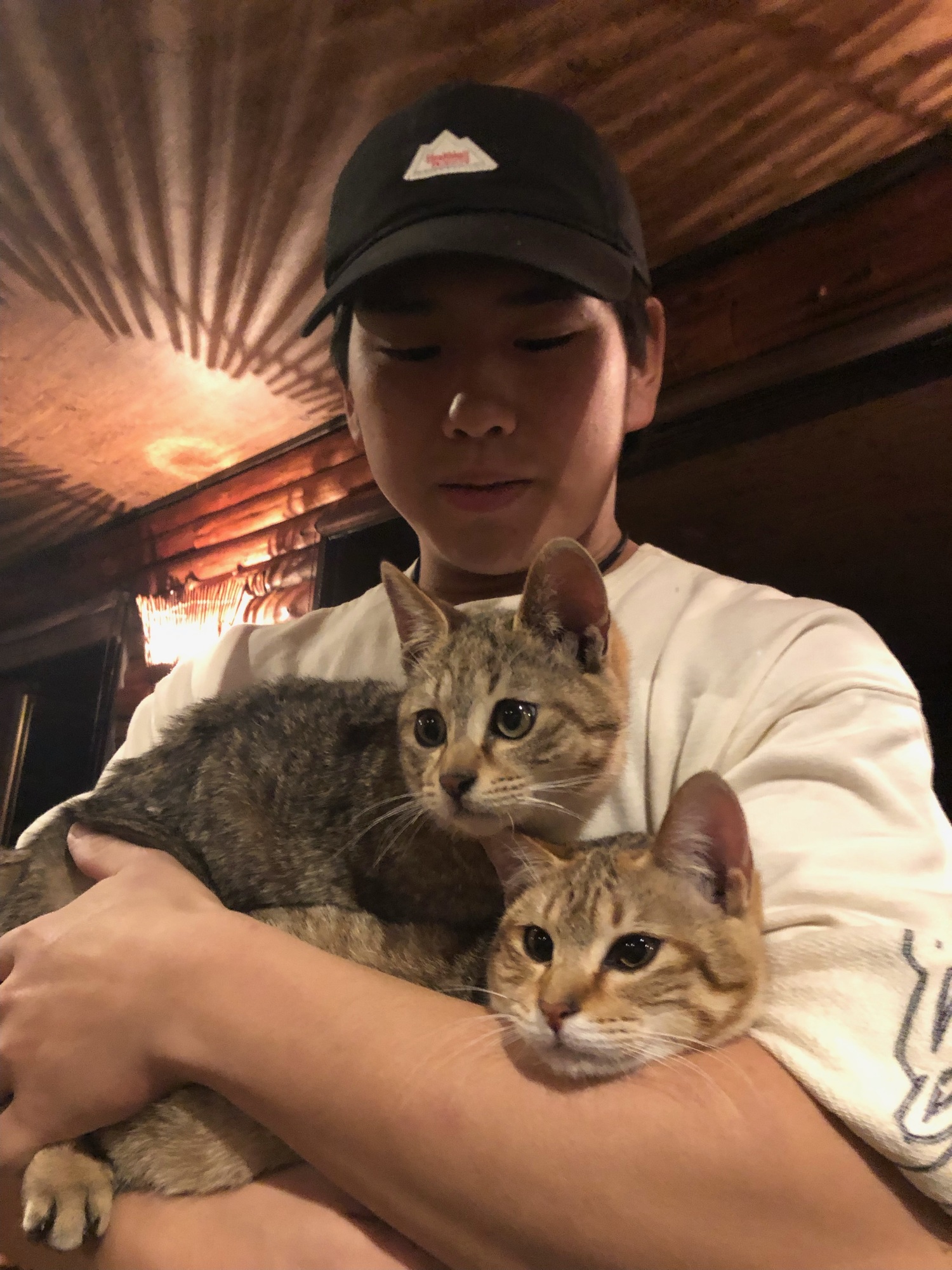 オイオイオイ∑(º ロ º๑)❢❢