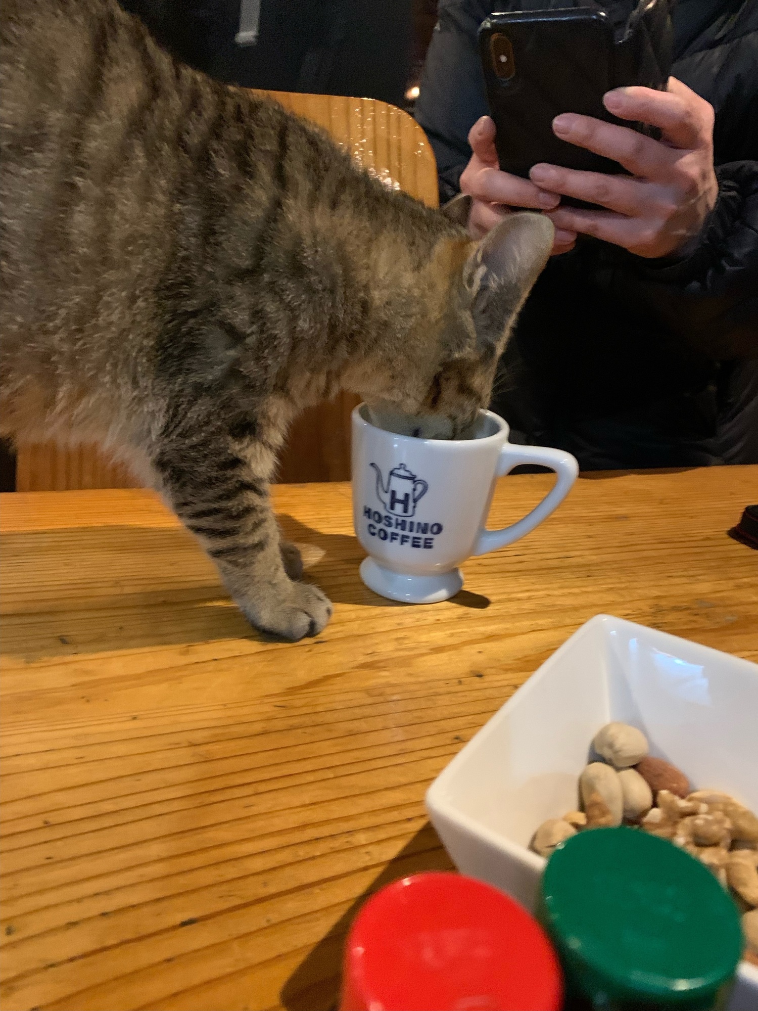 猫にこおひい
