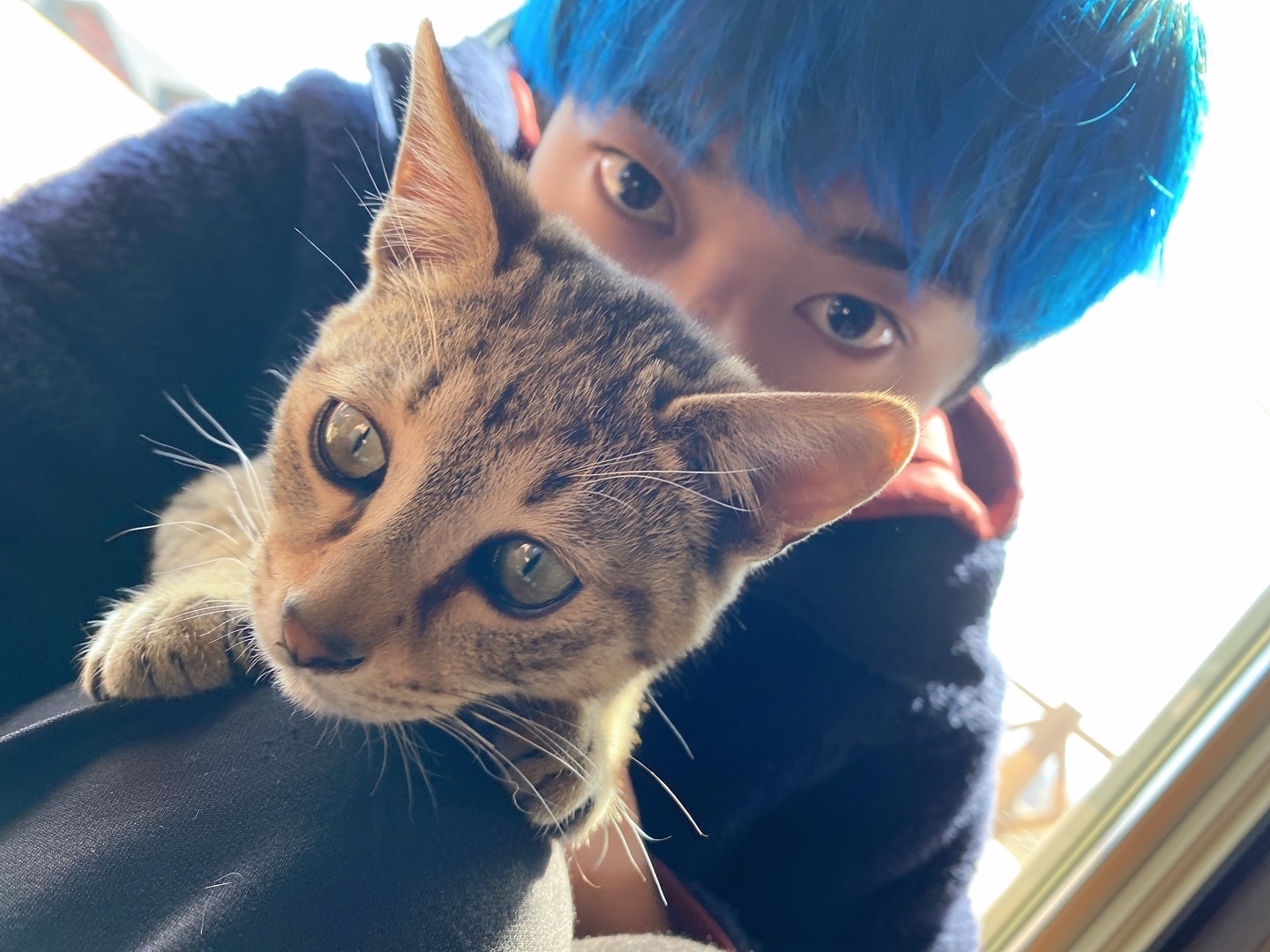 こっちはまだ極寒です