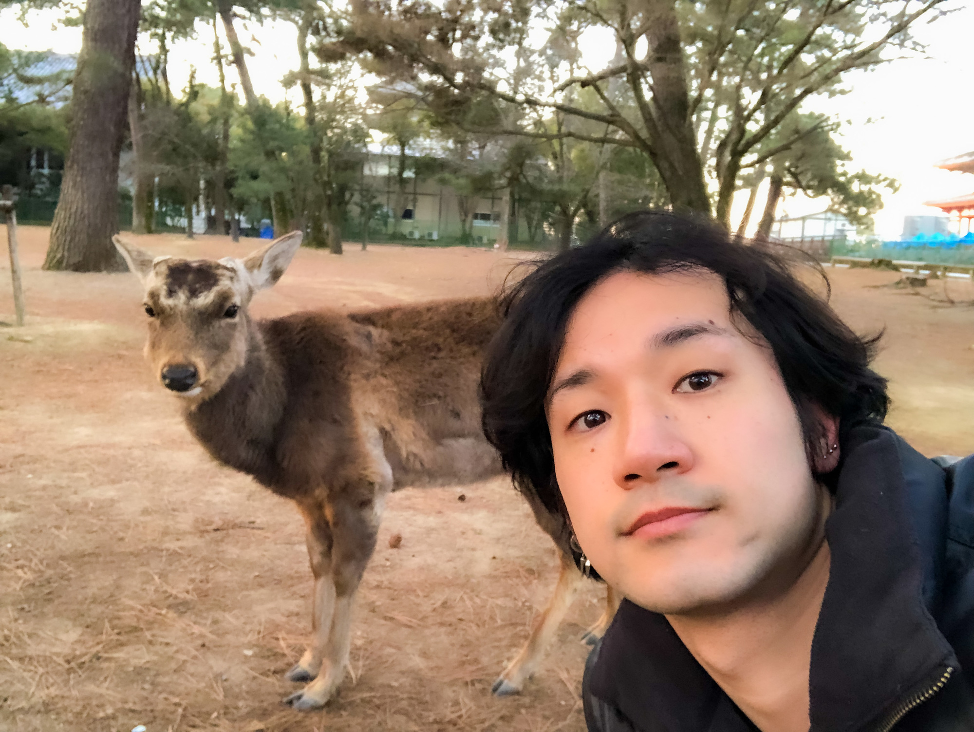 奈良