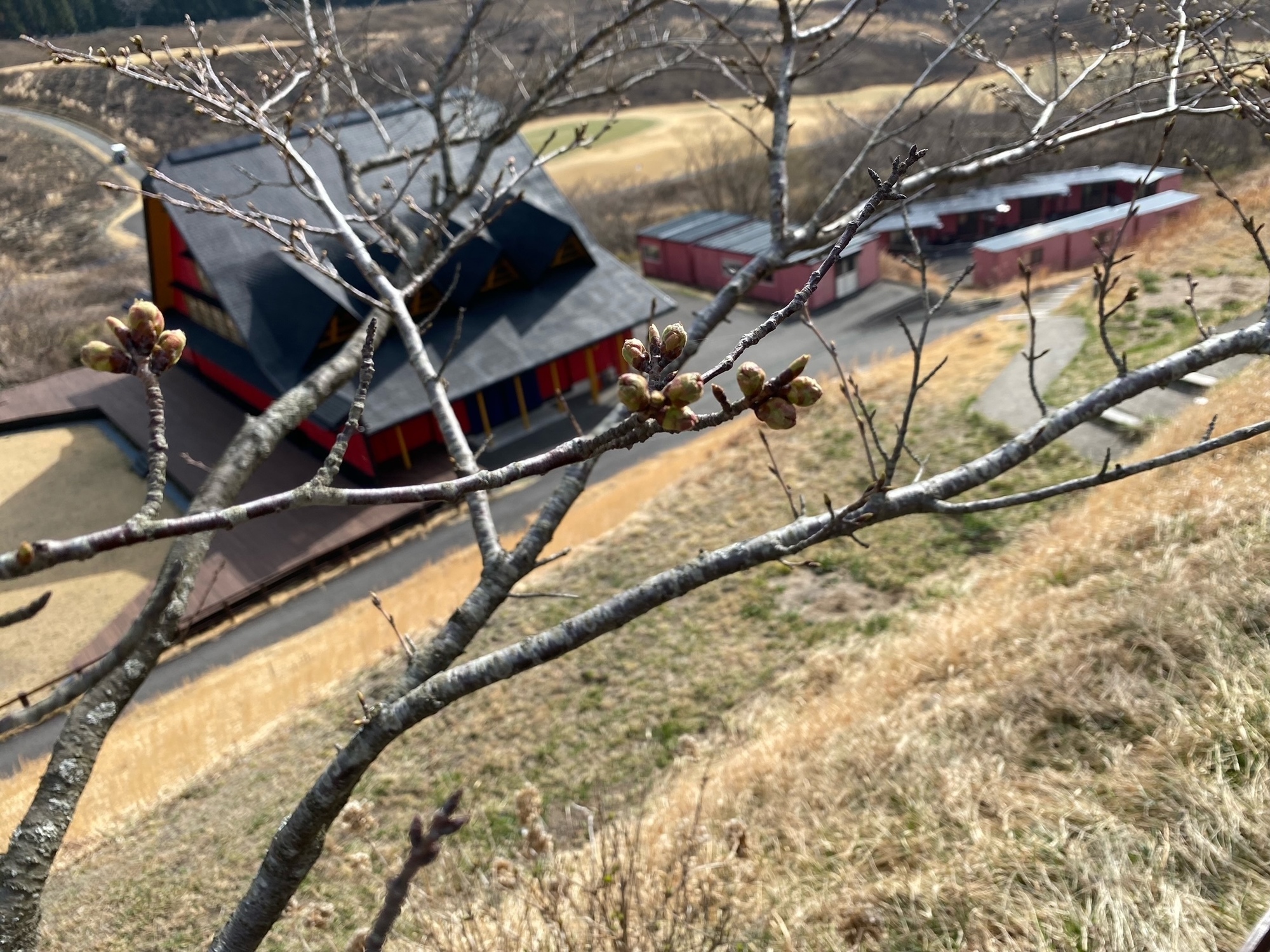 もうすぐかな？