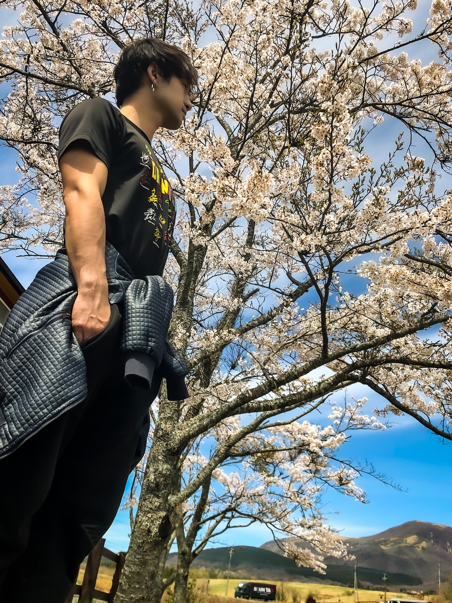 舞う