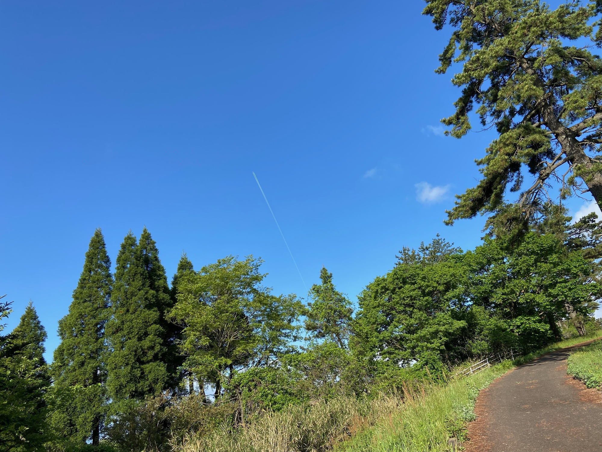 空