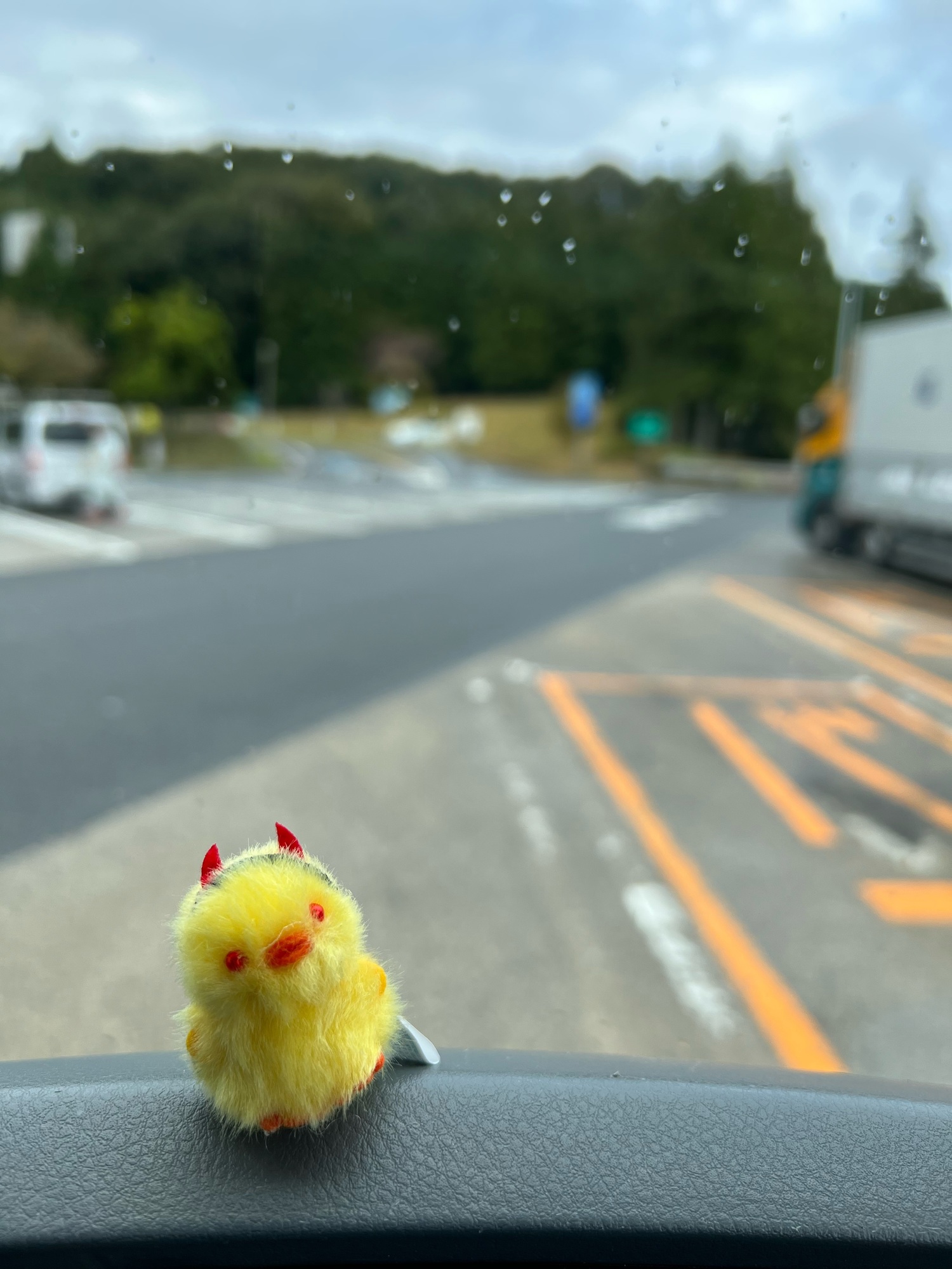 ぴよりーな