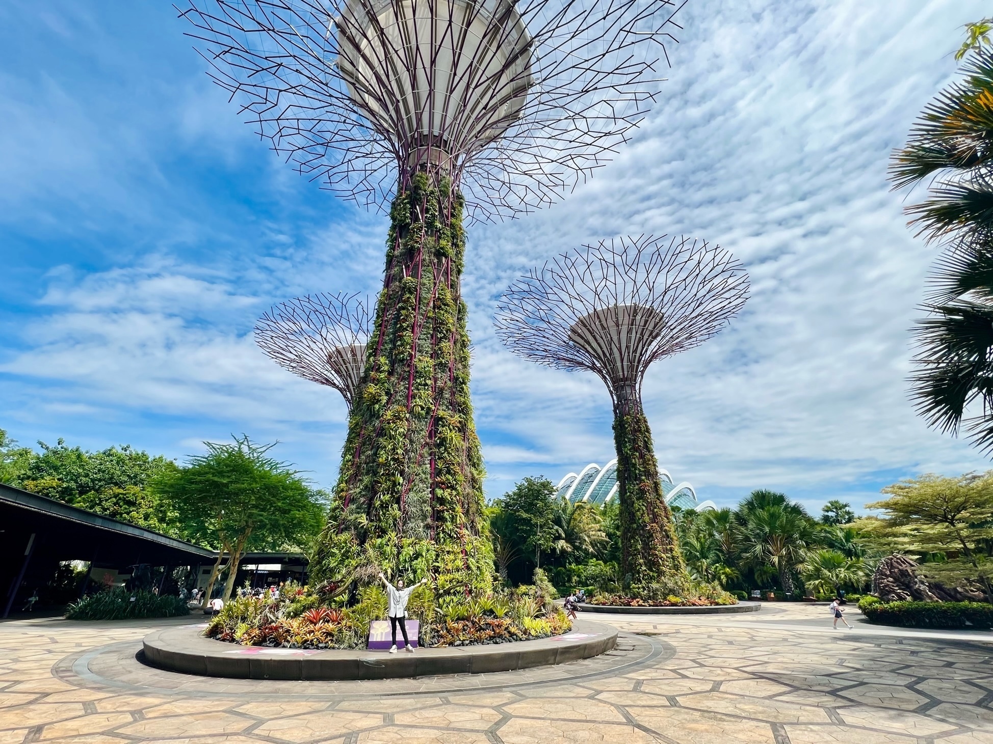 Singapore2