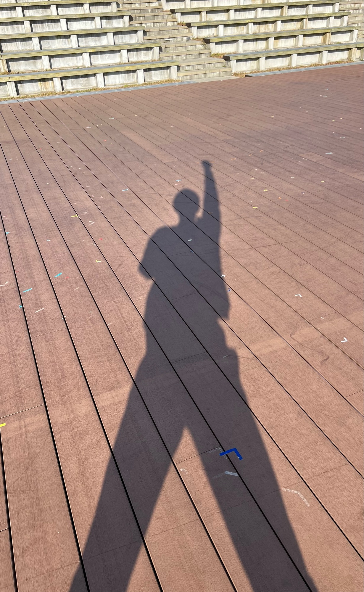 丘、山、ススキ