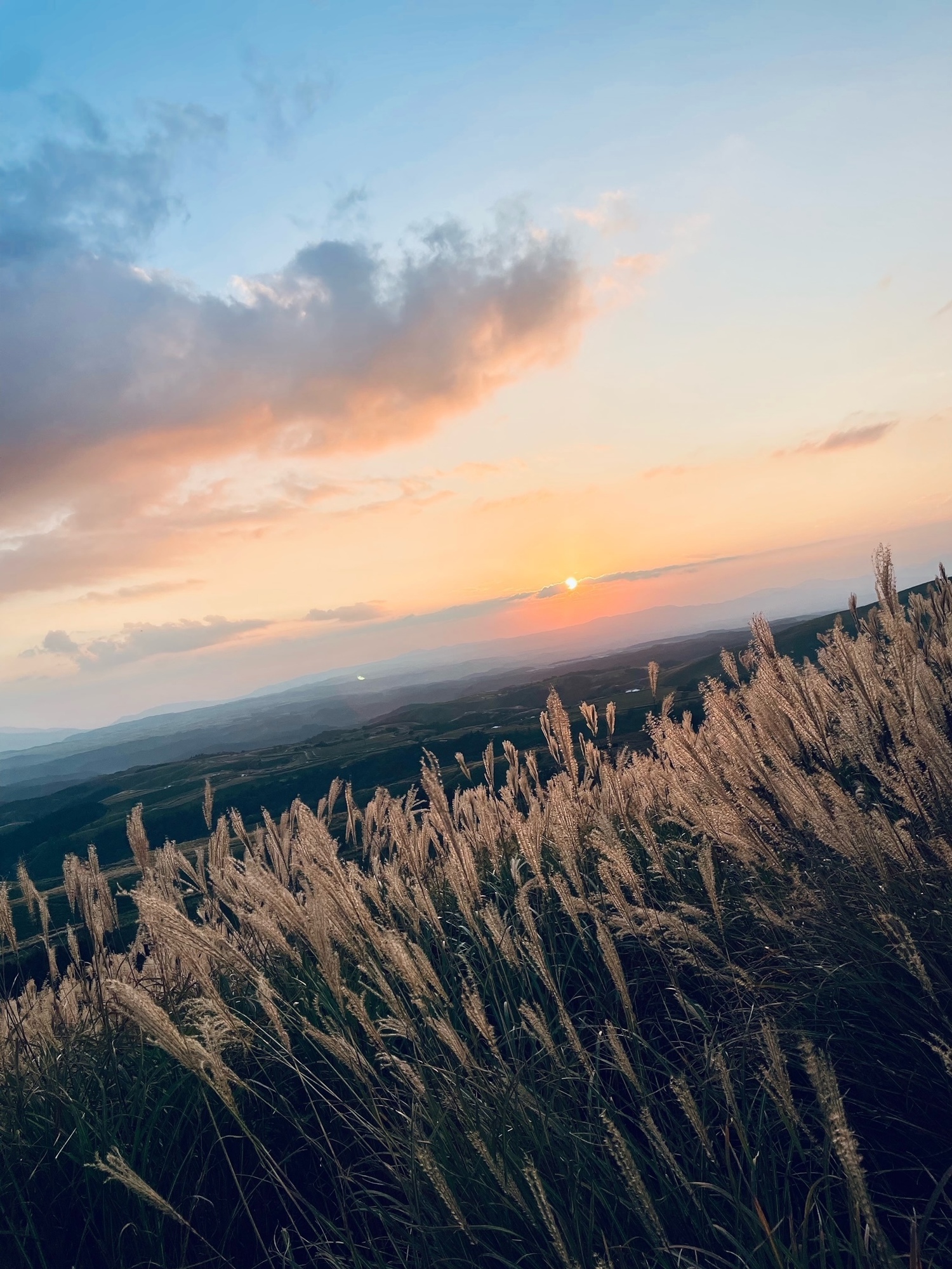 どっちも好き！
