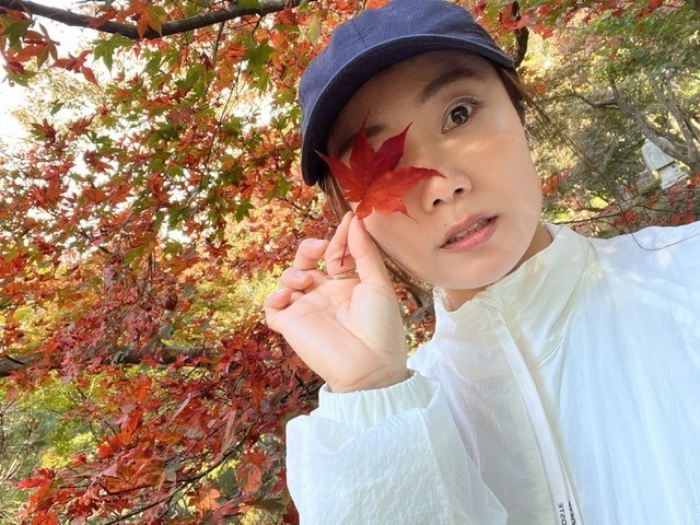 🍁