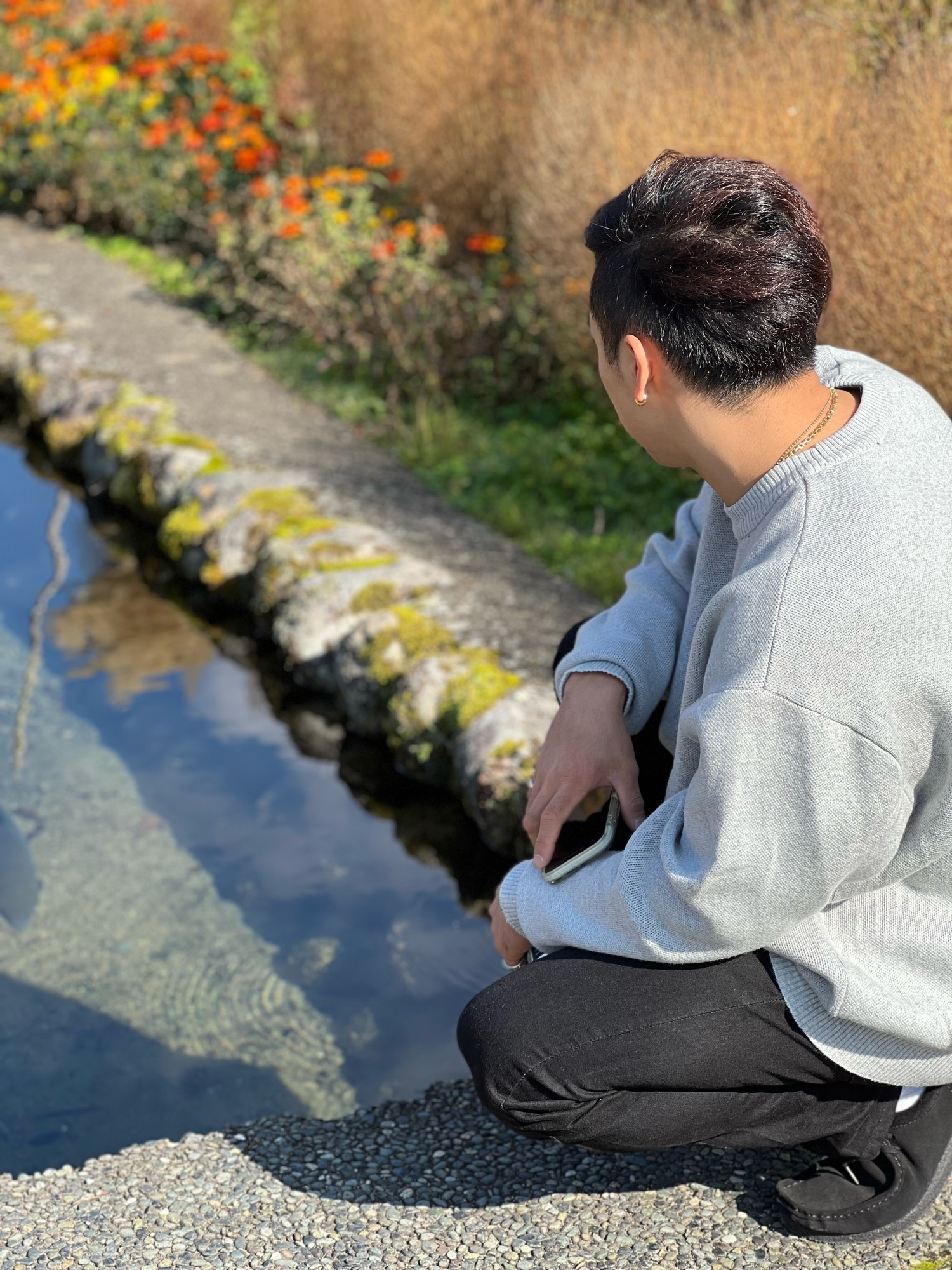 答え合わせ