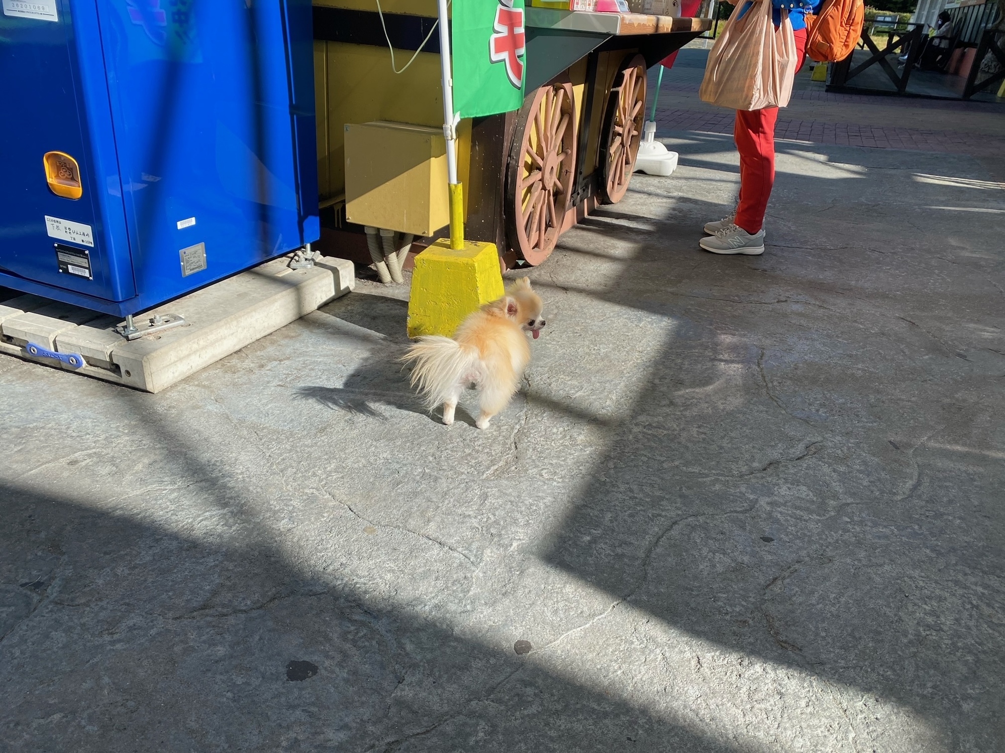 この生き物かわいすぎた
