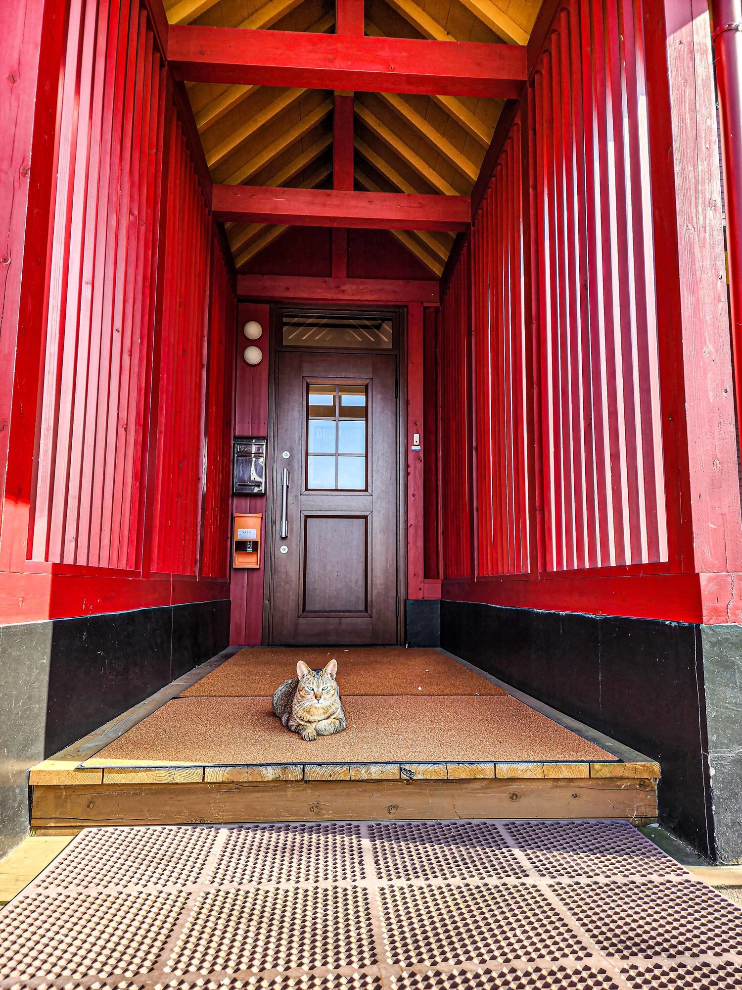 門番🐱