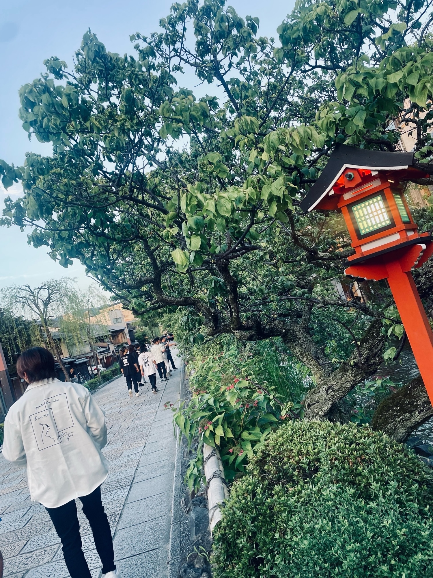 ぶらりぶらり