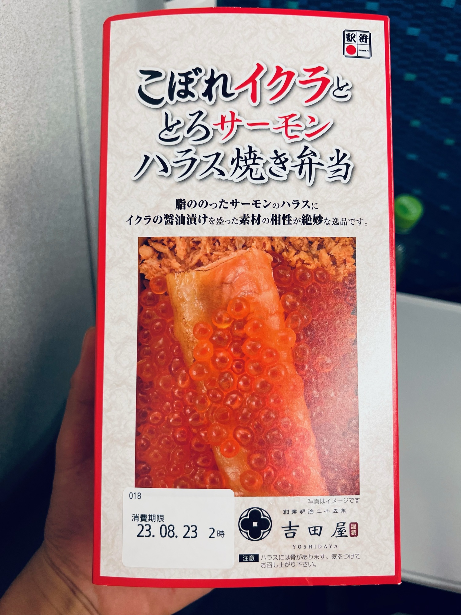 さぁ、帰ろう。