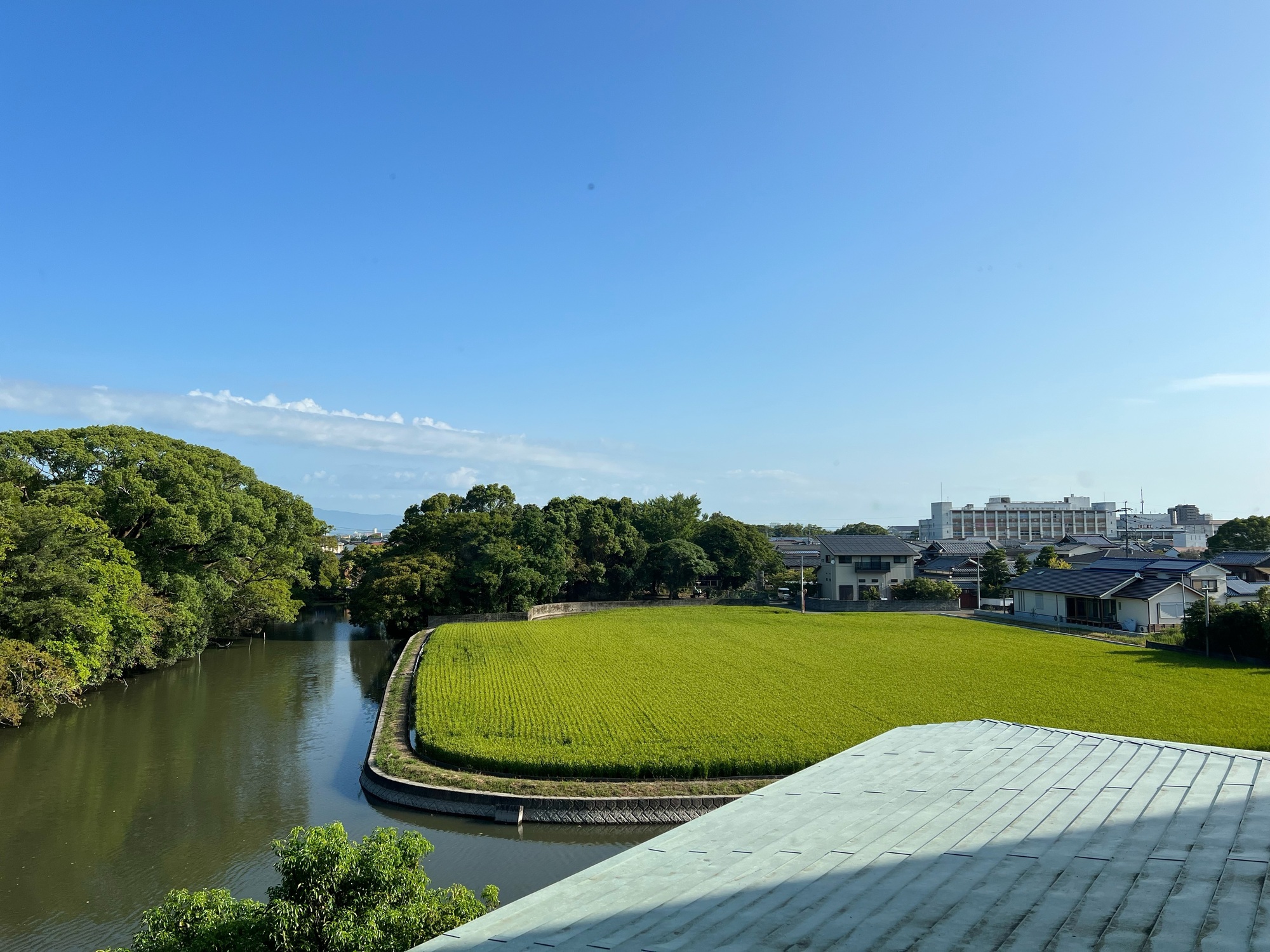 柳川