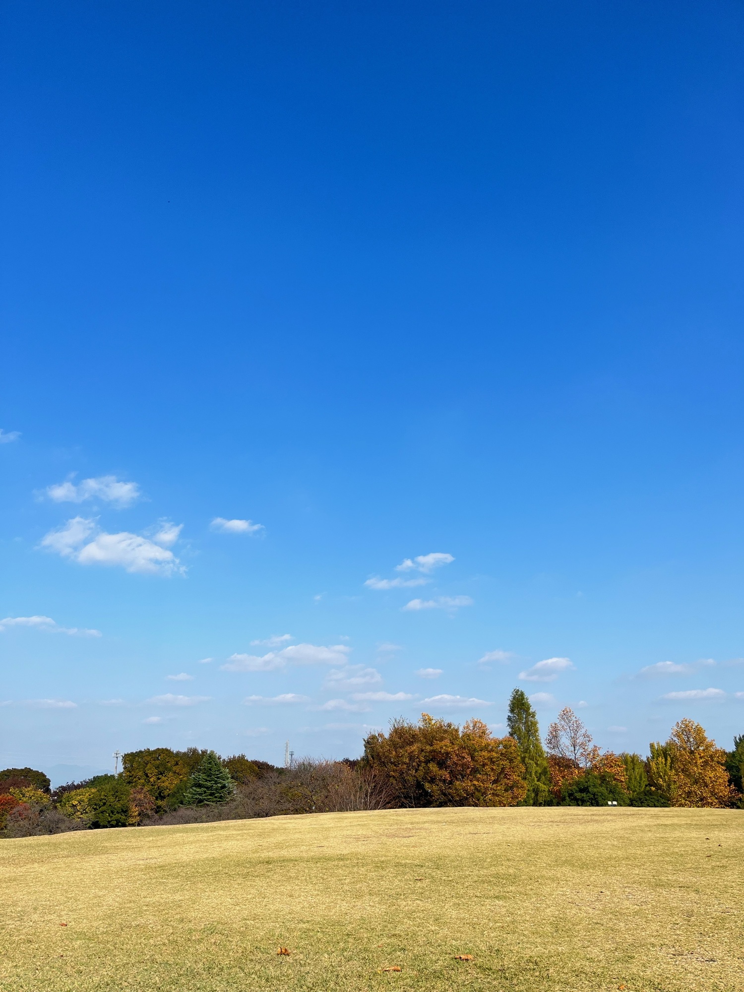 秋の空