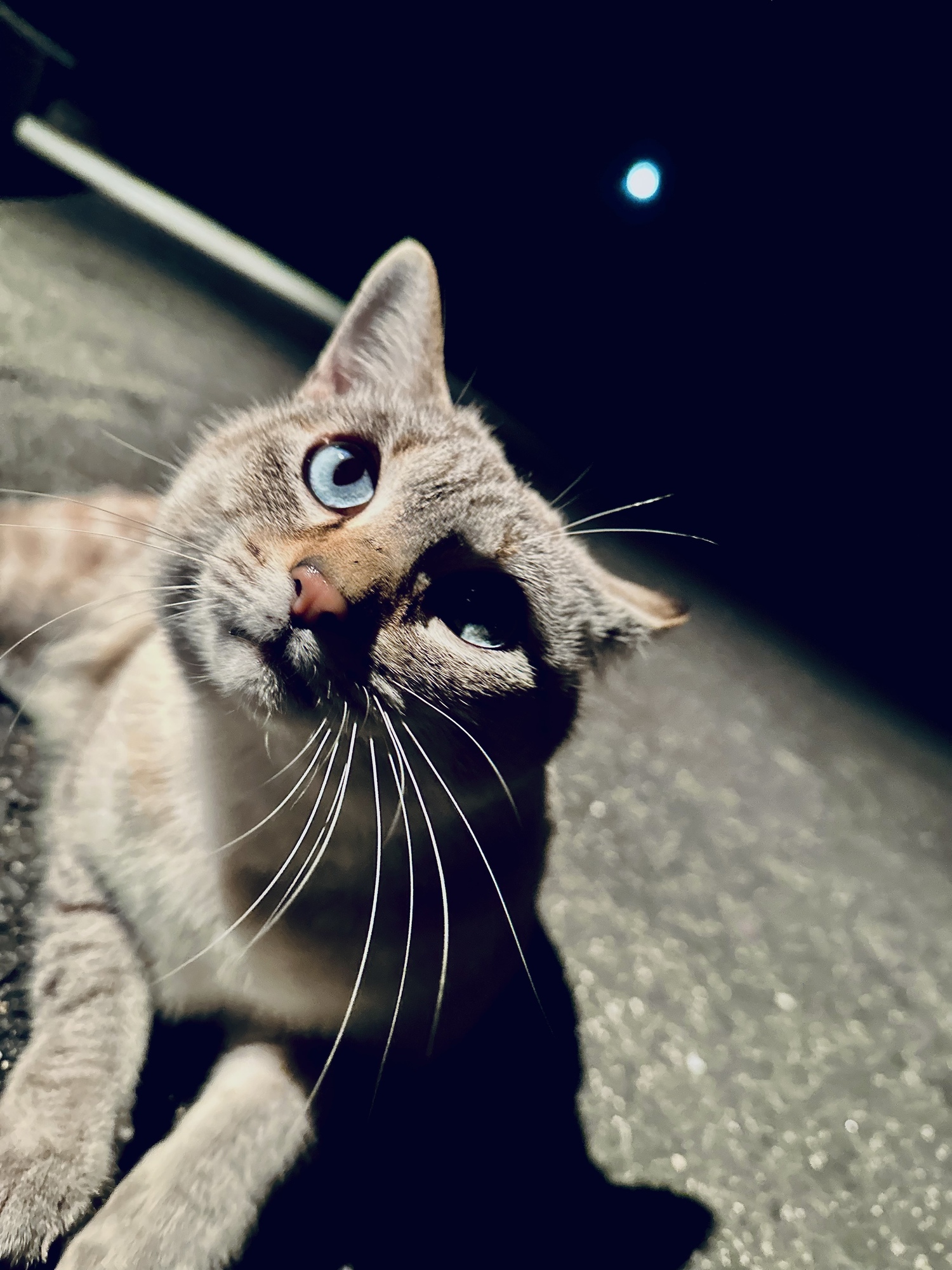 到来