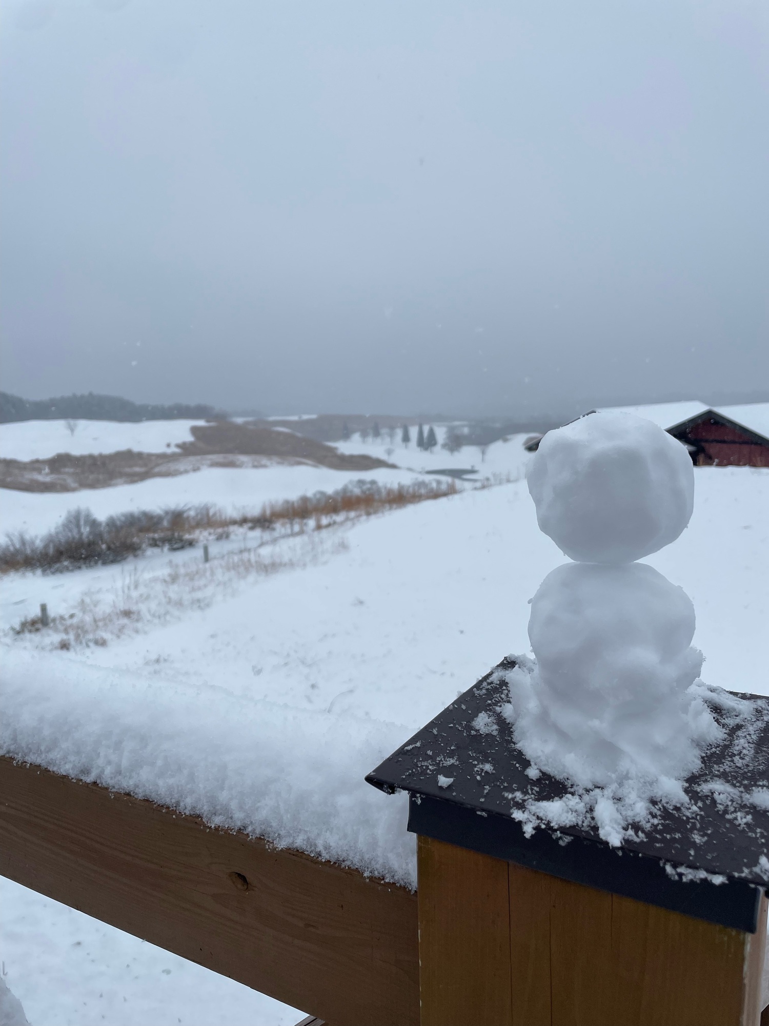 今年も⛄️