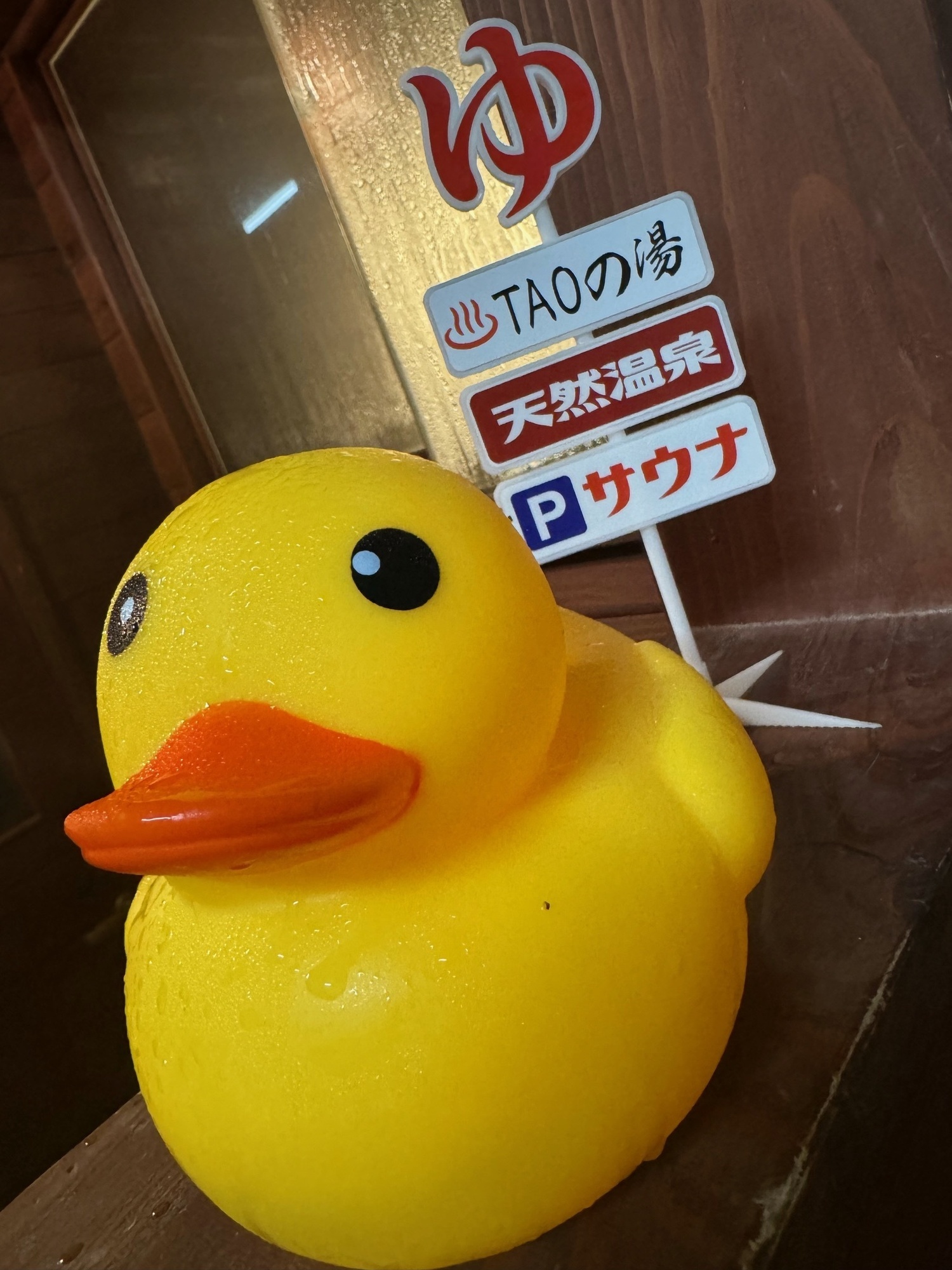 フロモン🐥