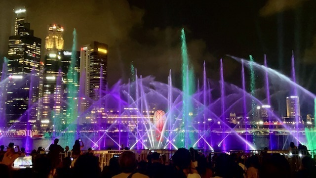 🇸🇬