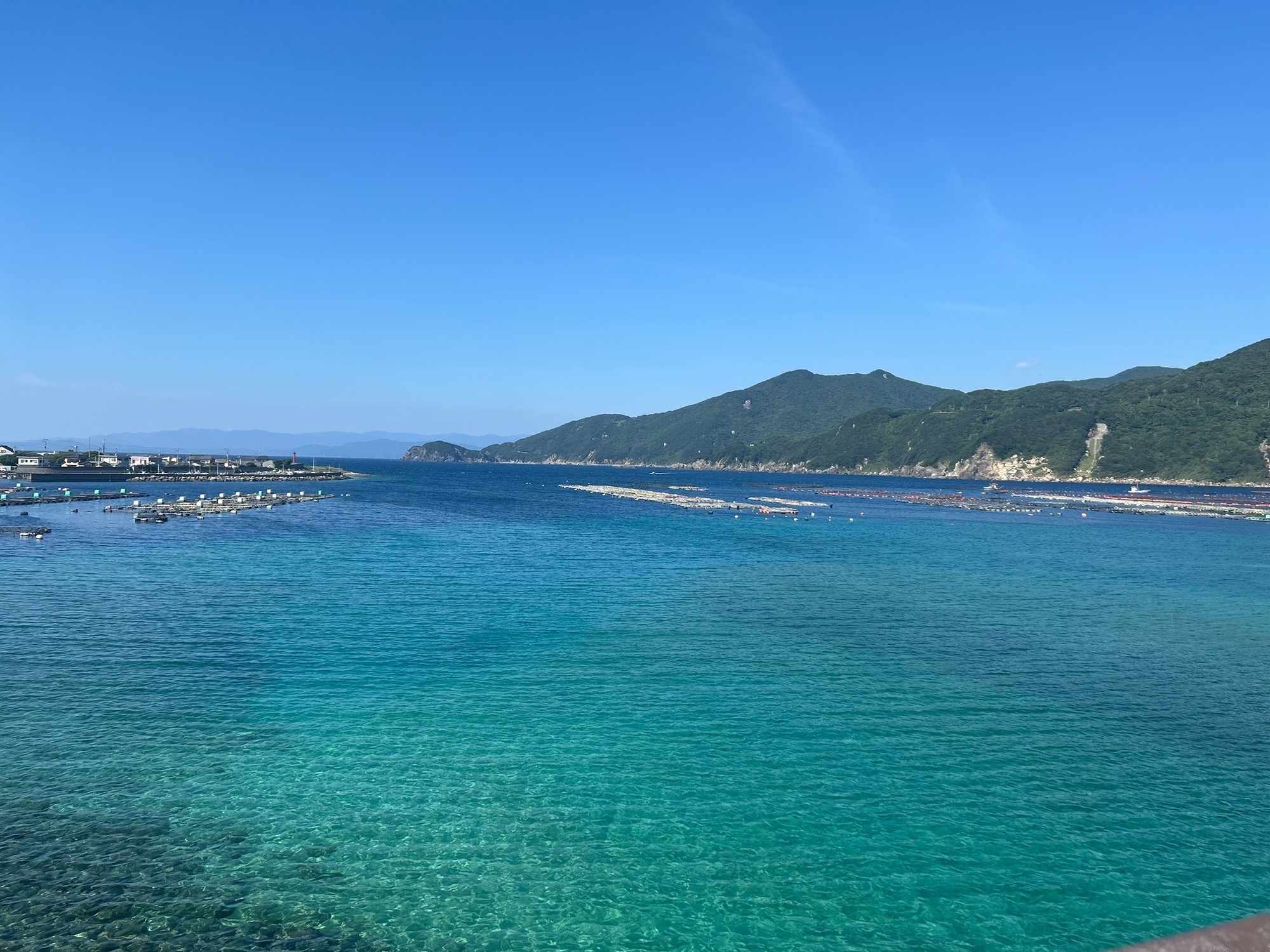 イルカの見れる島