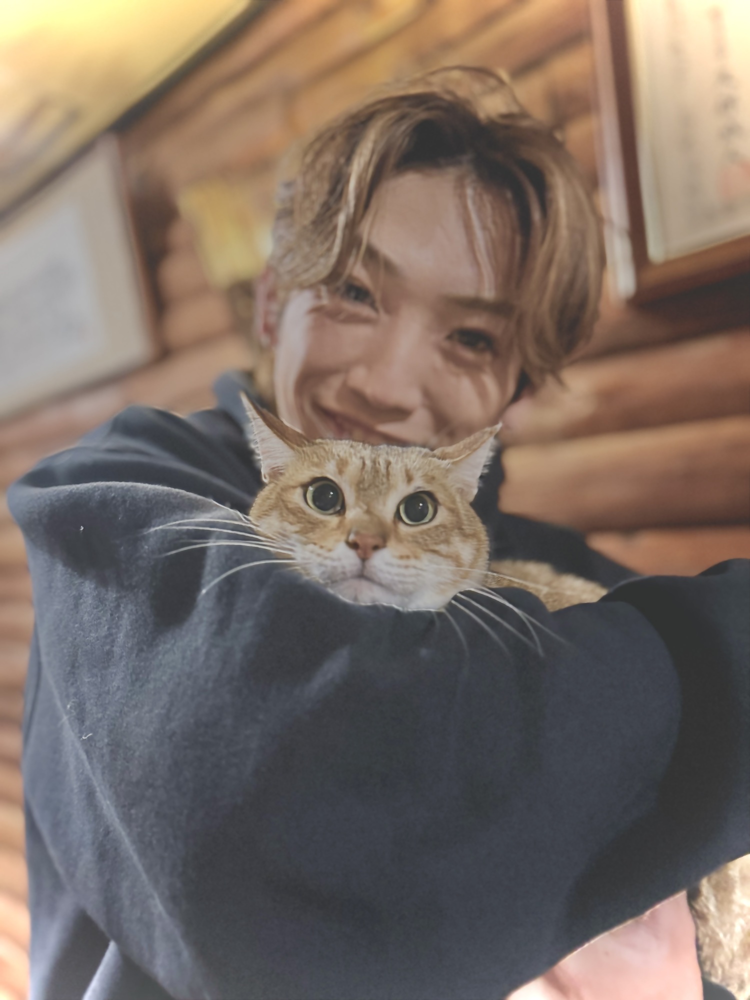 🐱