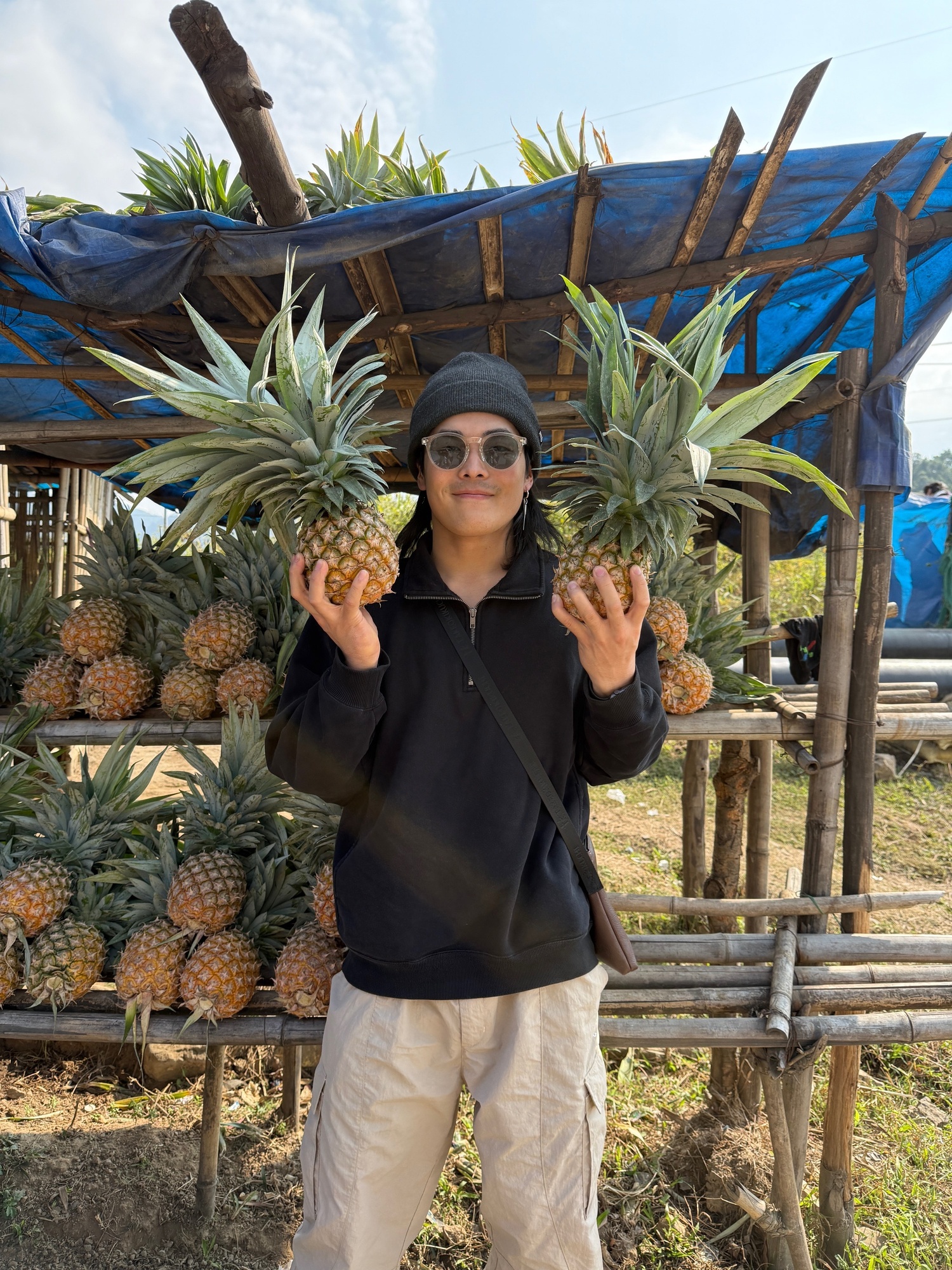 310🍍