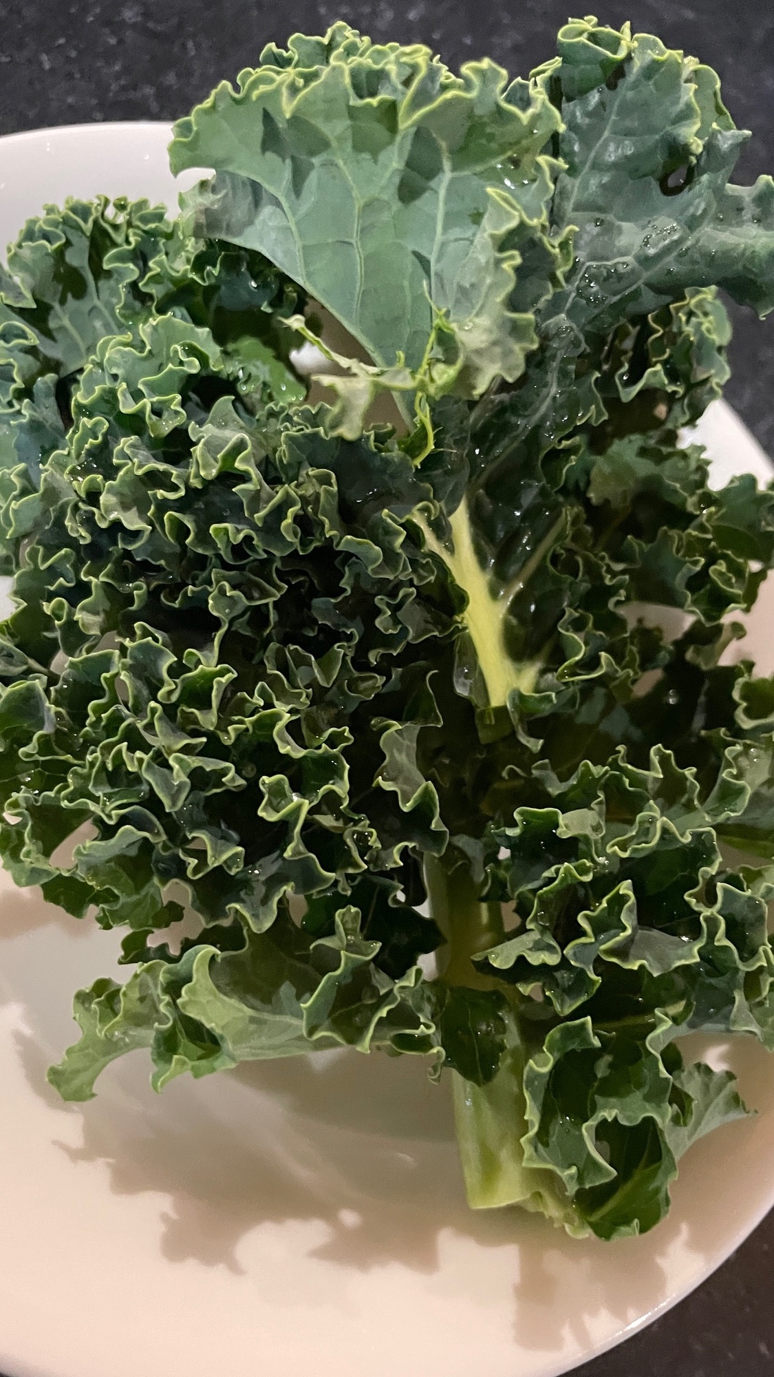 野菜🥬