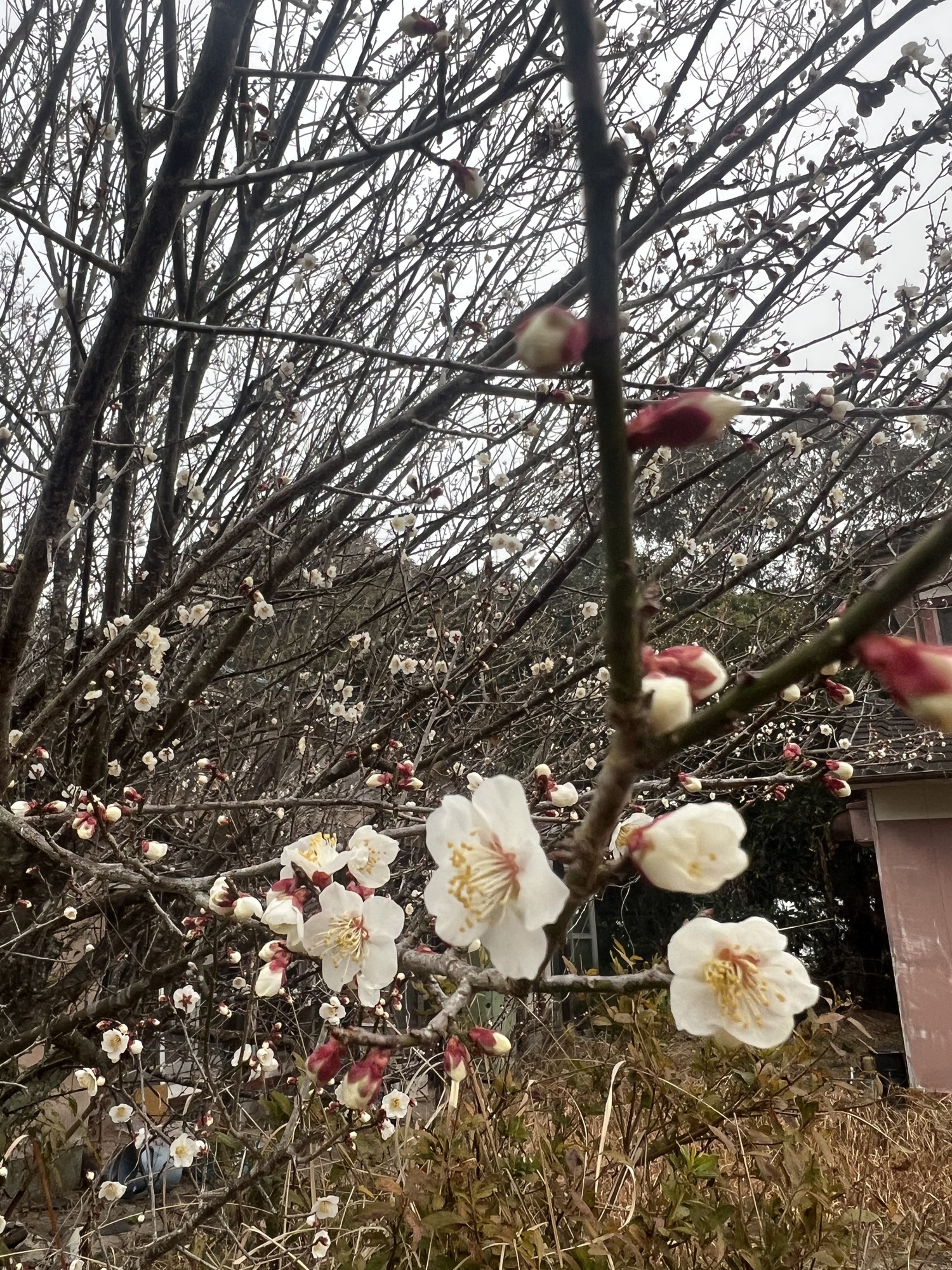 であい